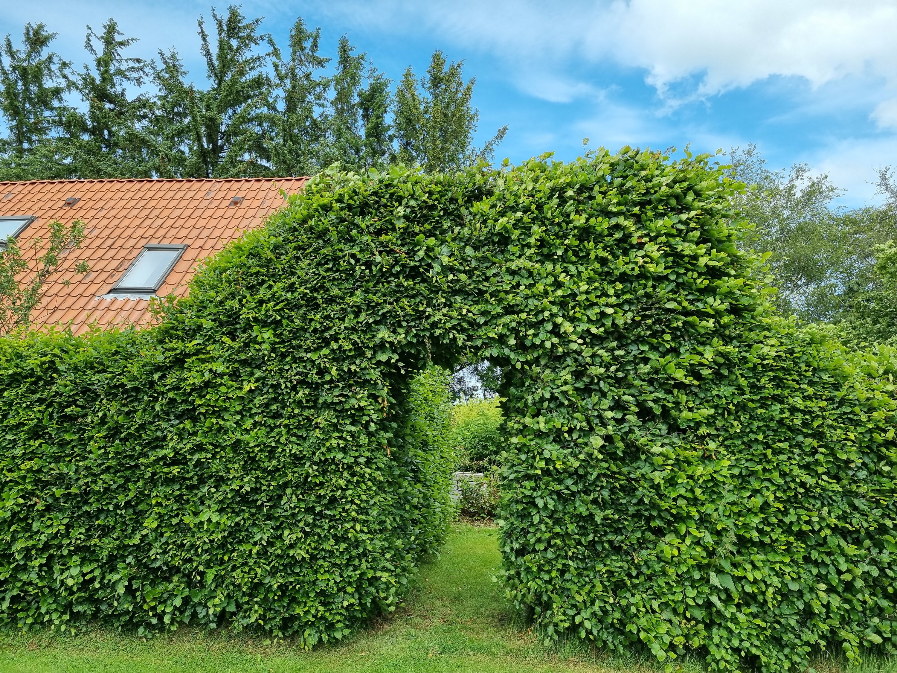 Fremhævet  billede i fuldskærmstilstand. Billede af Østerhedenvej 45, 9830 Tårs