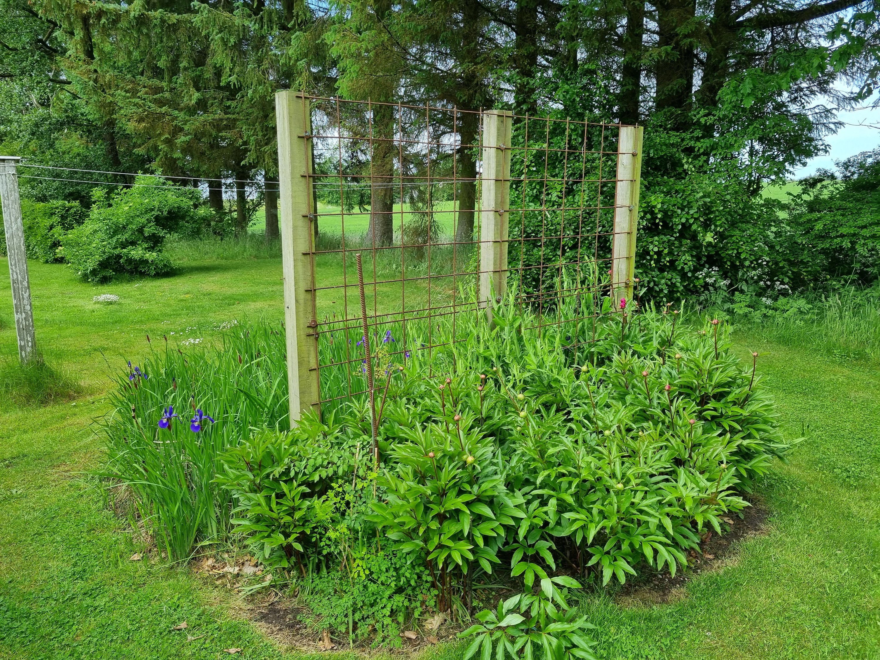 Fremhævet  billede i fuldskærmstilstand. Billede af Østerhedenvej 45, 9830 Tårs