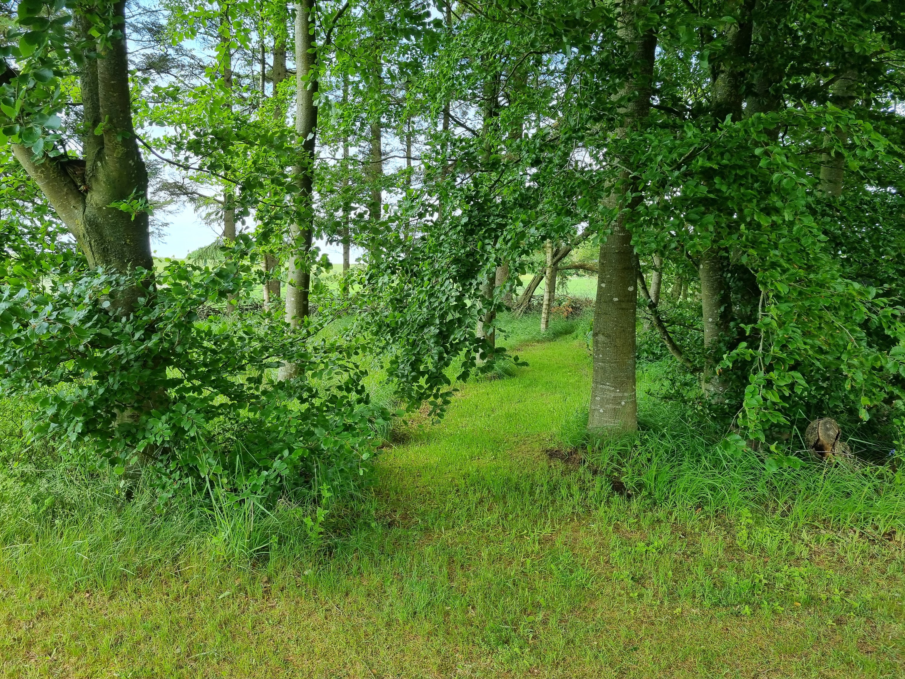 Fremhævet  billede i fuldskærmstilstand. Billede af Østerhedenvej 45, 9830 Tårs