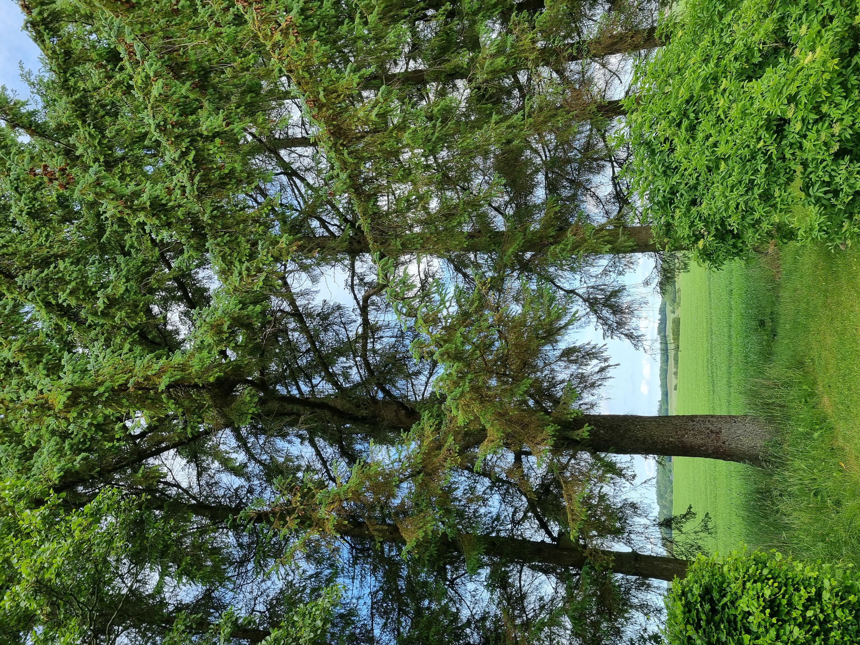 Fremhævet  billede i fuldskærmstilstand. Billede af Østerhedenvej 45, 9830 Tårs