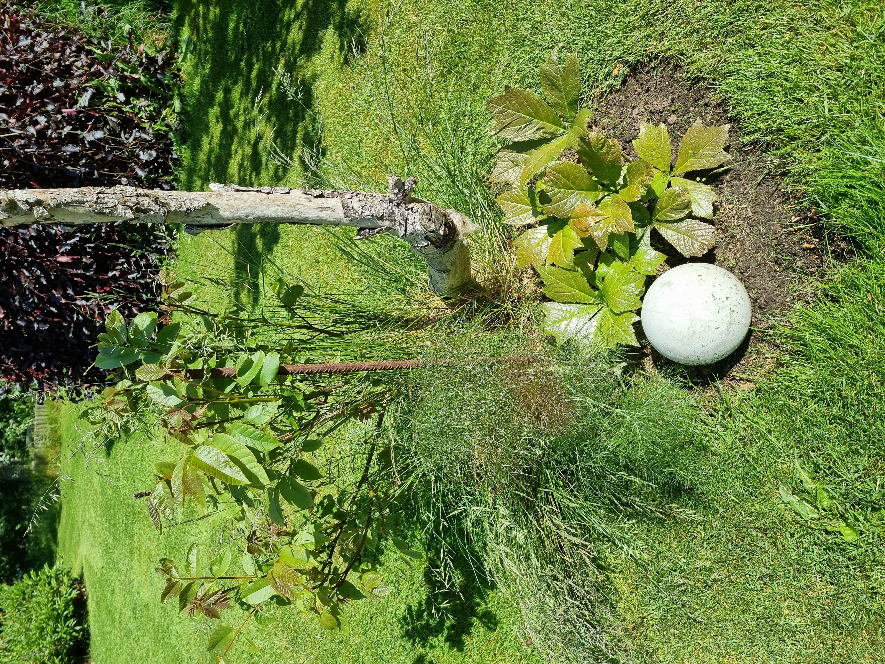 Fremhævet  billede i fuldskærmstilstand. Billede af Østerhedenvej 45, 9830 Tårs