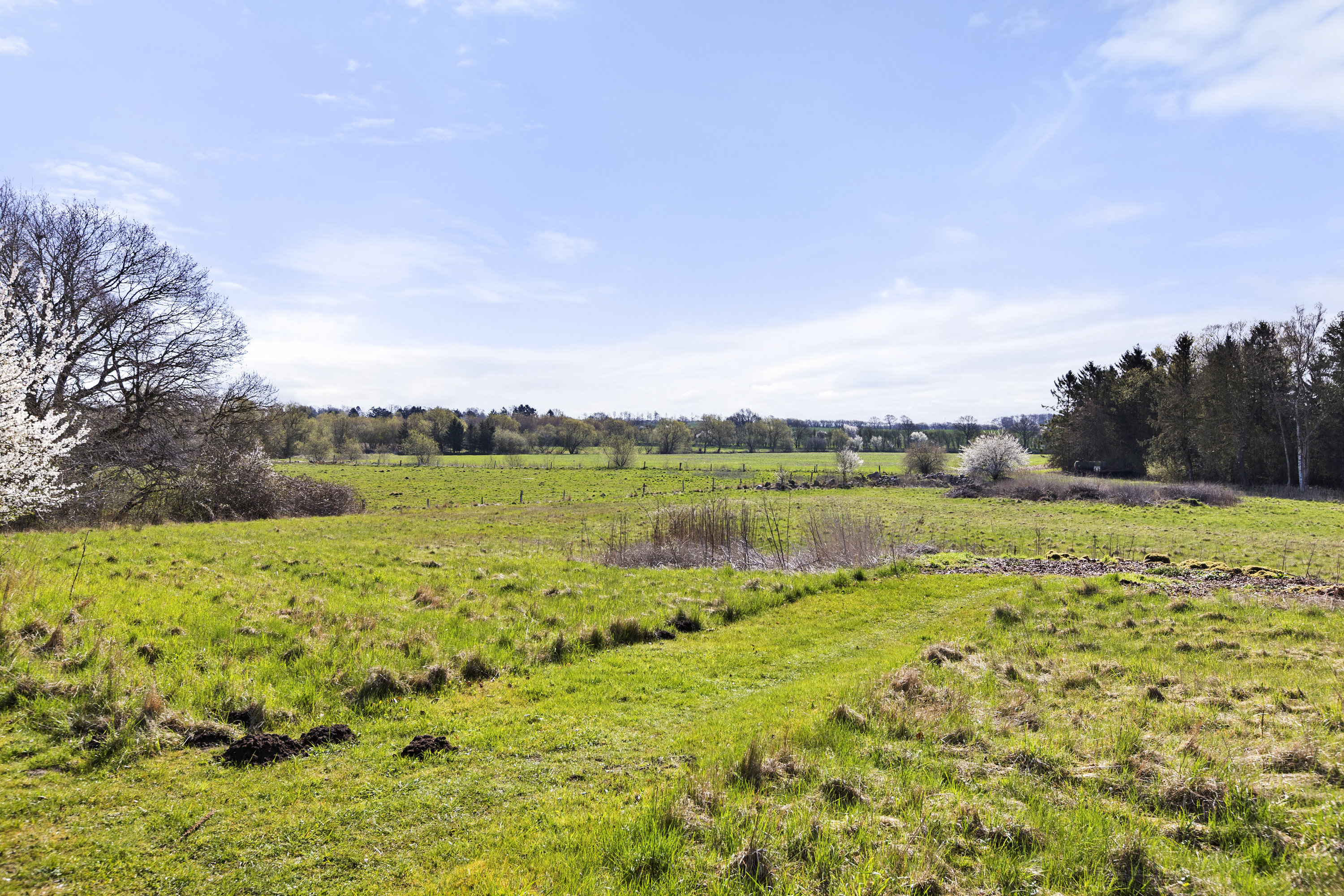 Fremhævet udsigt billede i fuldskærmstilstand. Billede af Holbækvej 138C, Haraldsted, 4100 Ringsted