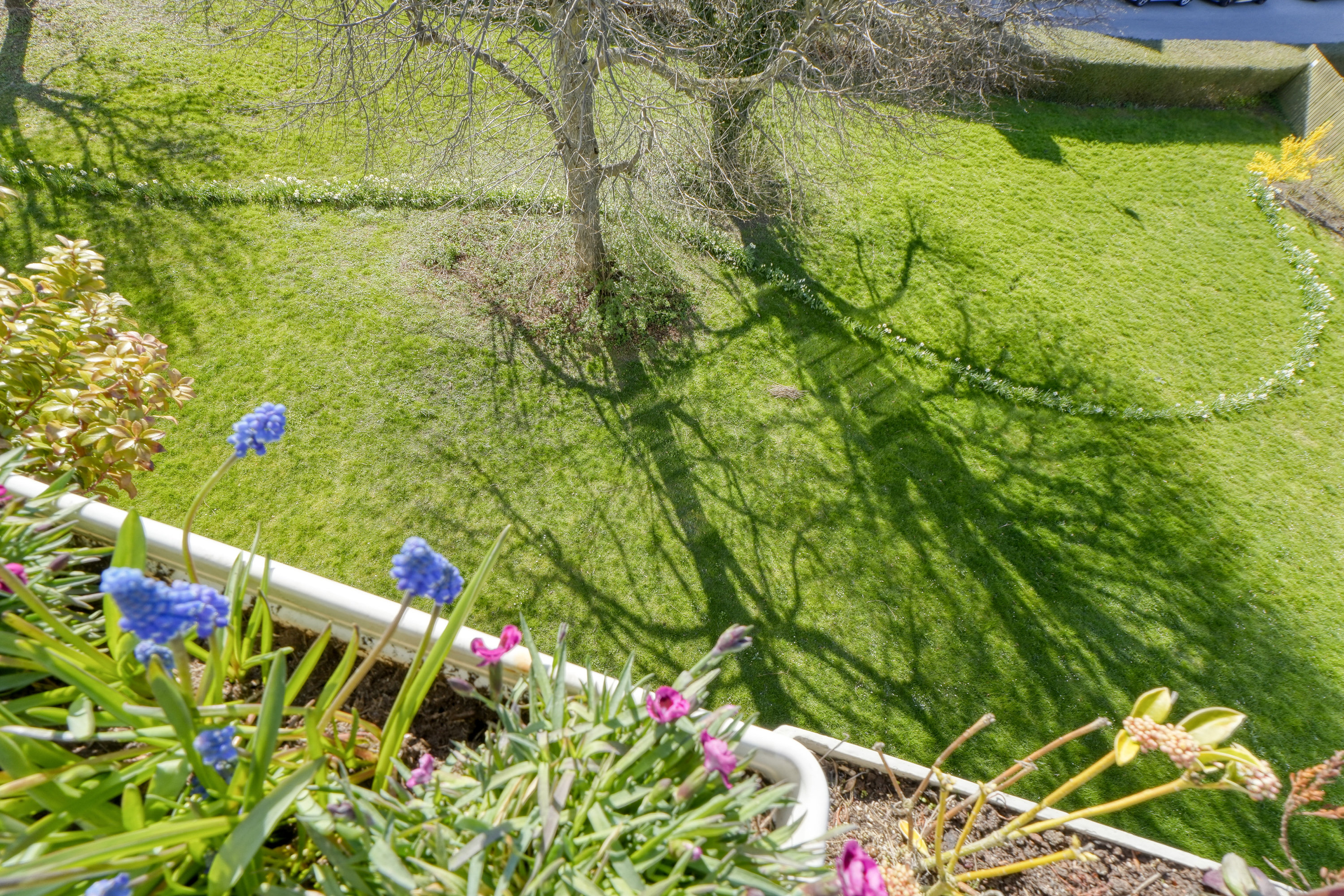 Fremhævet udsigt billede i fuldskærmstilstand. Billede af Næsborgvej 70, 2. th., 2650 Hvidovre