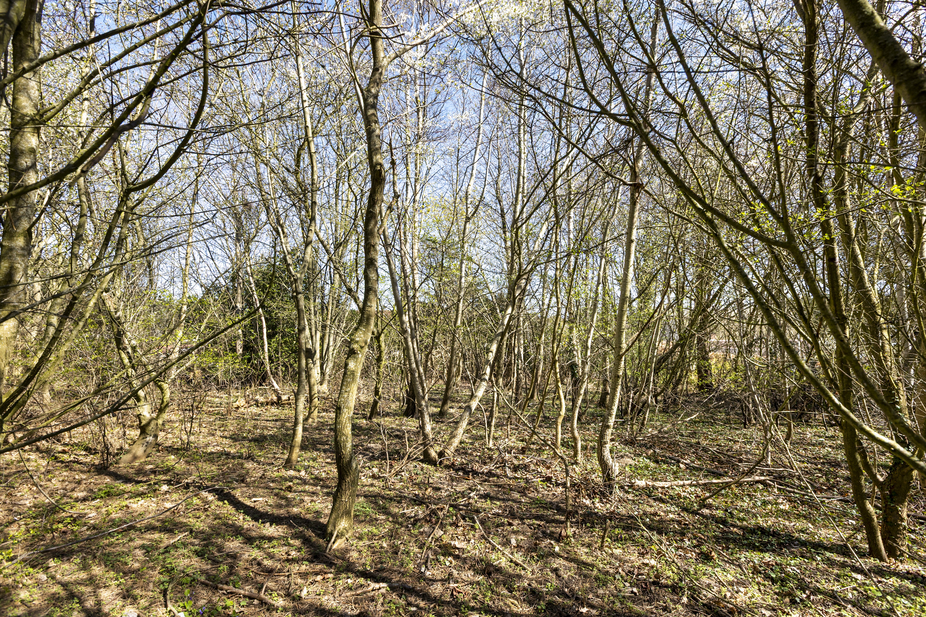 Fremhævet grund billede i fuldskærmstilstand. Billede af Sandlodsvej 13, 4400 Kalundborg