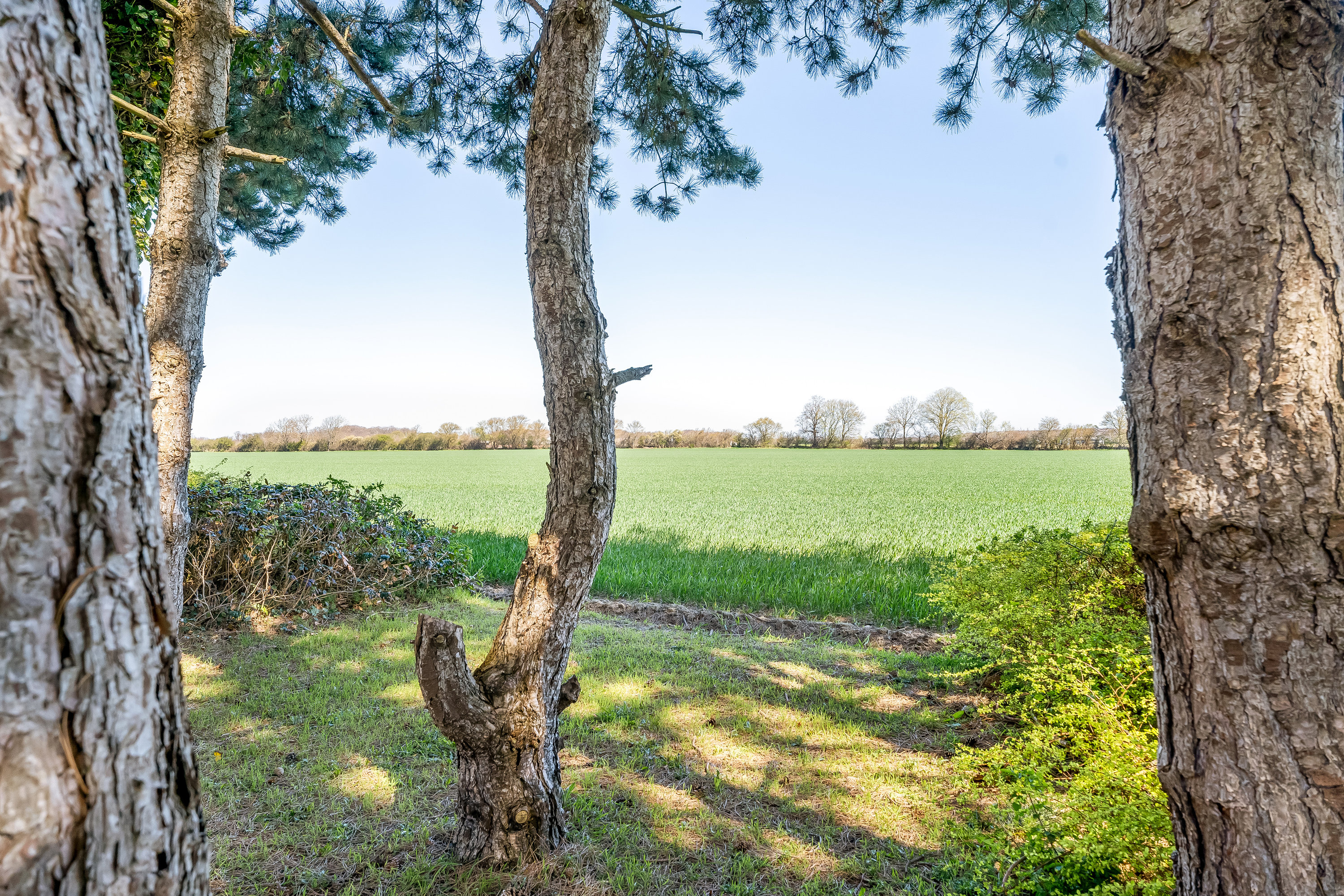 Fremhævet udsigt billede i fuldskærmstilstand. Billede af Nøbbøllevej 14, 4920 Søllested