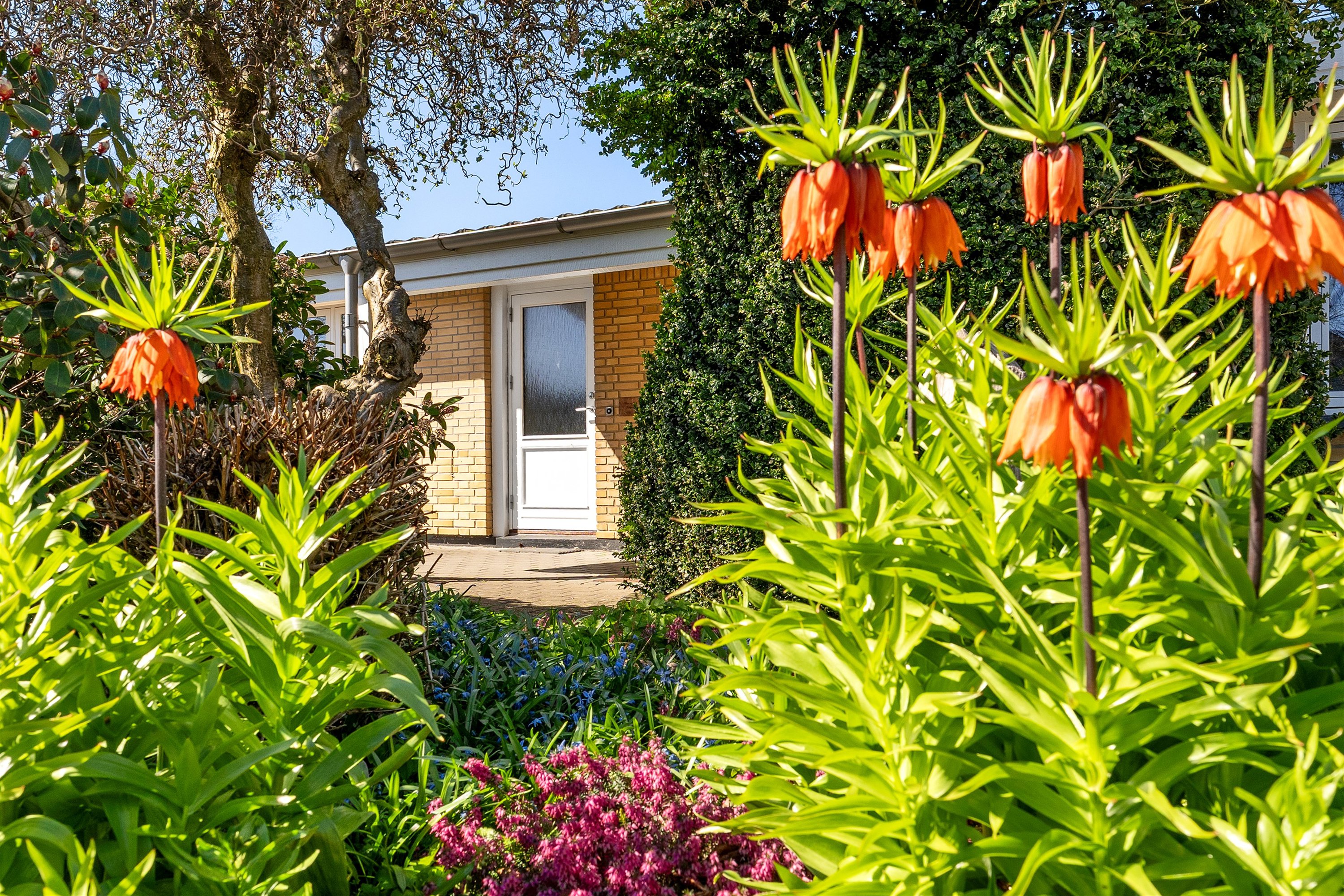 Fremhævet ejendommen billede i fuldskærmstilstand. Billede af Gammel Hejnsvigvej 14, 7190 Billund