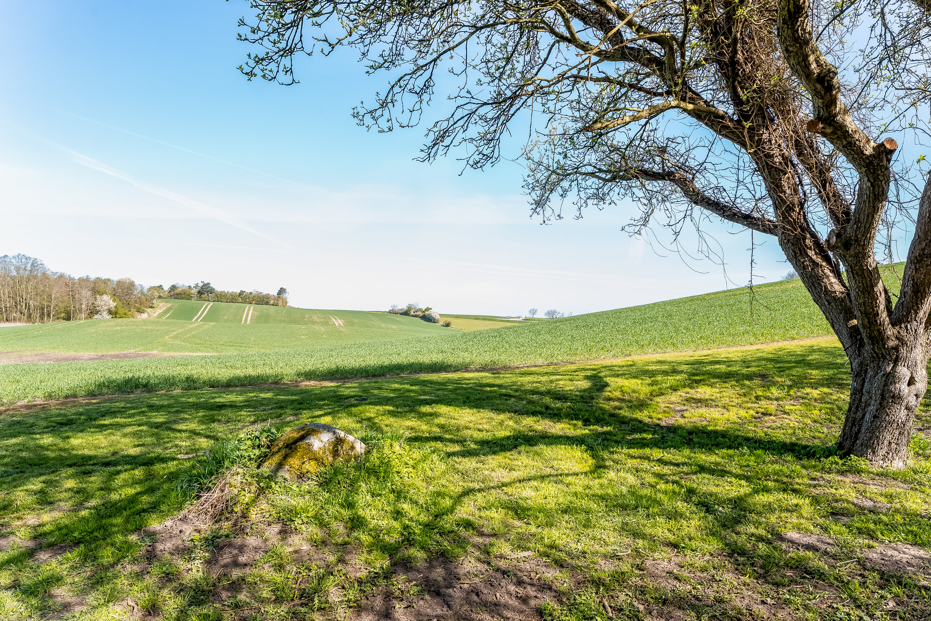 Fremhævet have billede i fuldskærmstilstand. Billede af Ravnsborgvej 22, 4943 Torrig L