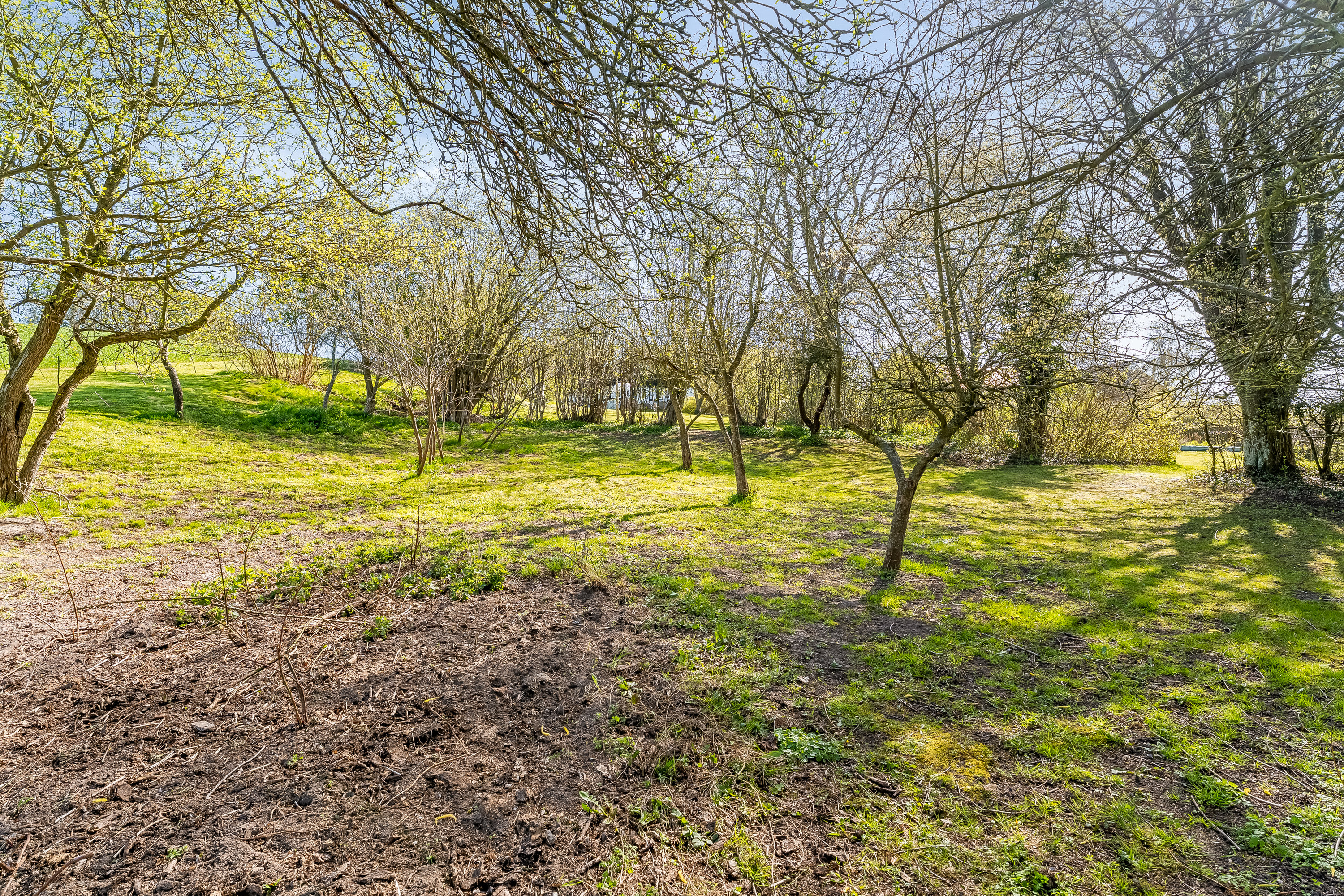 Fremhævet have billede i fuldskærmstilstand. Billede af Ravnsborgvej 22, 4943 Torrig L