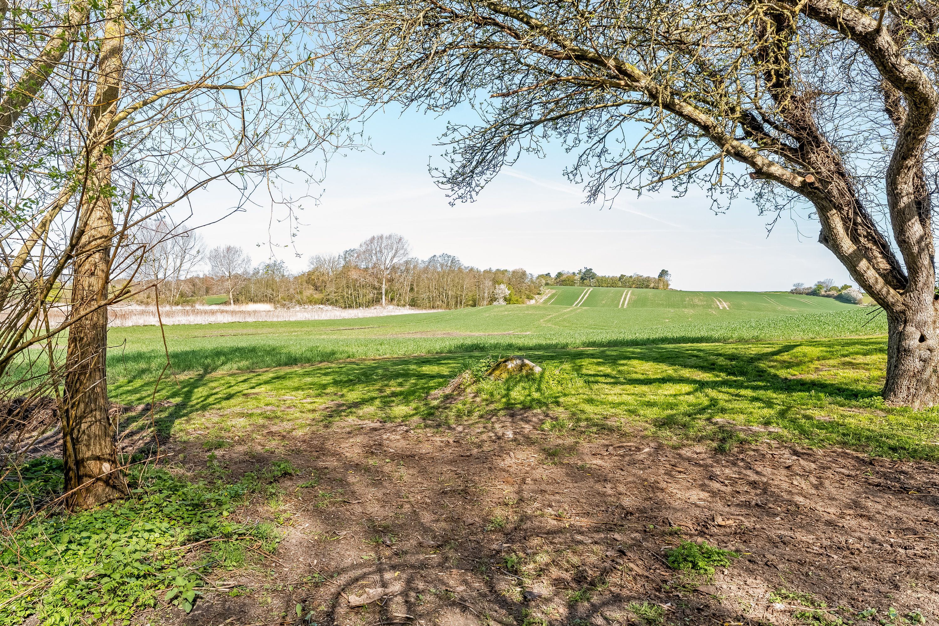 Fremhævet have billede i fuldskærmstilstand. Billede af Ravnsborgvej 22, 4943 Torrig L