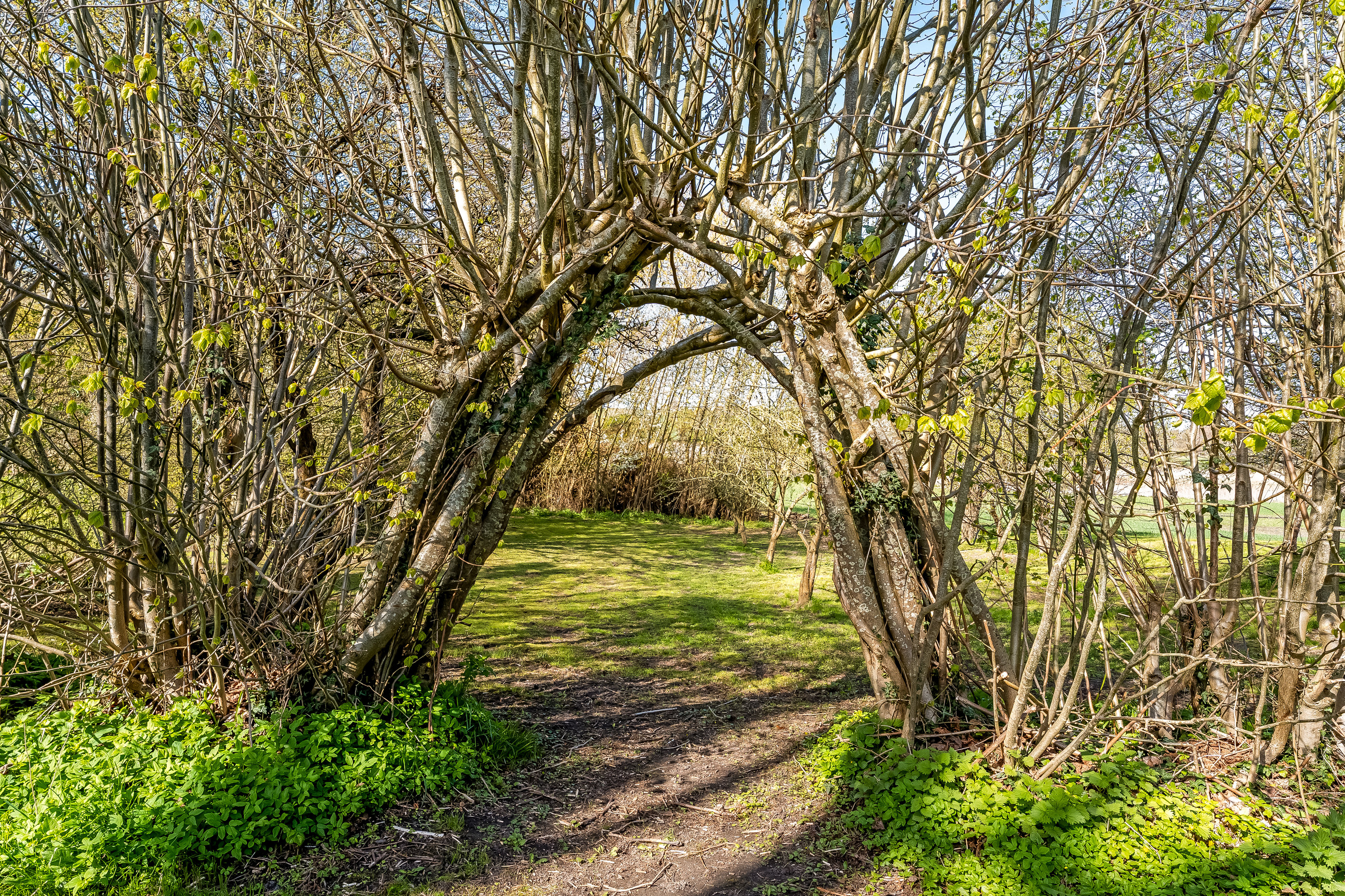 Fremhævet have billede i fuldskærmstilstand. Billede af Ravnsborgvej 22, 4943 Torrig L