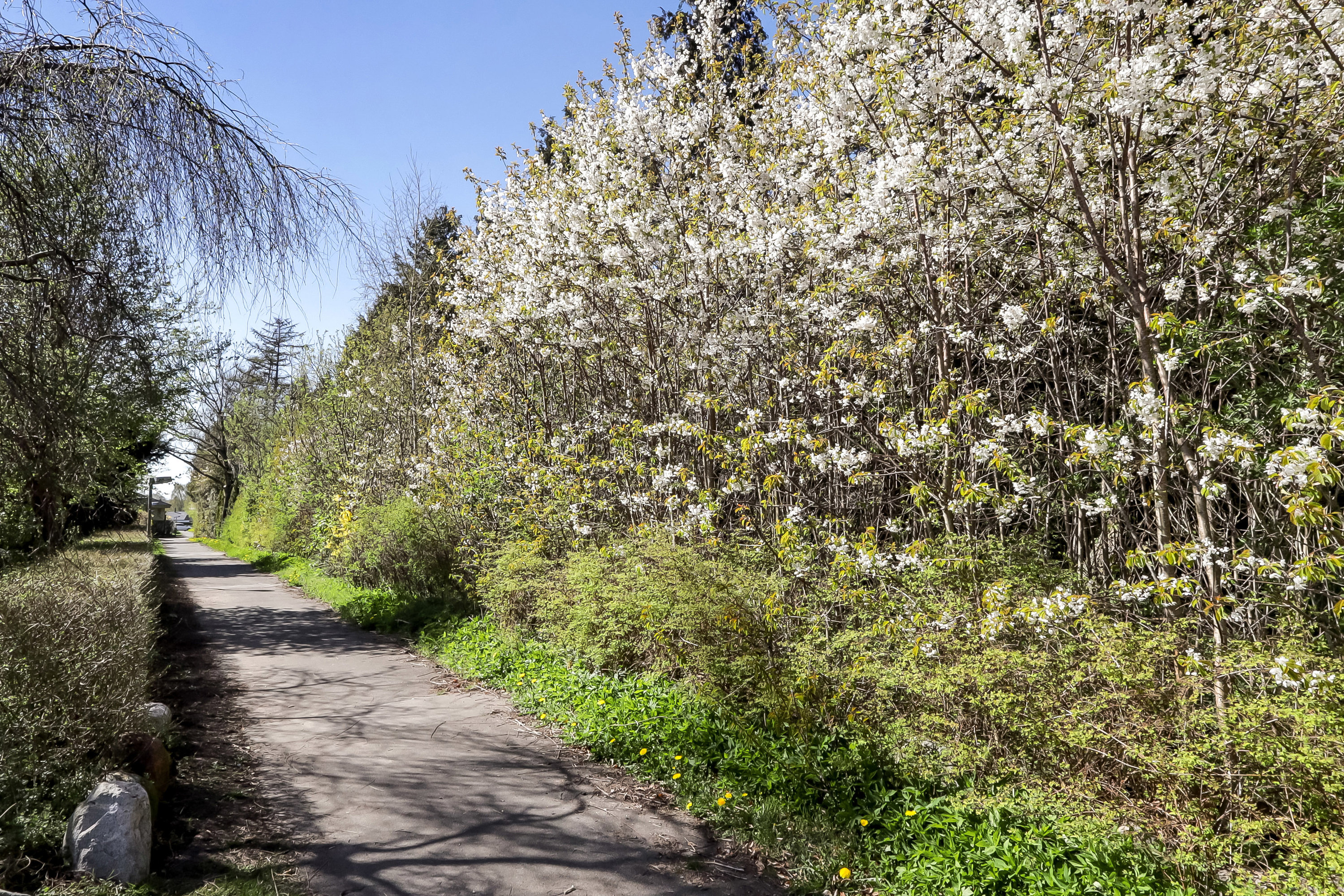 Fremhævet  billede i fuldskærmstilstand. Billede af Violvænget 9B, 5856 Ryslinge