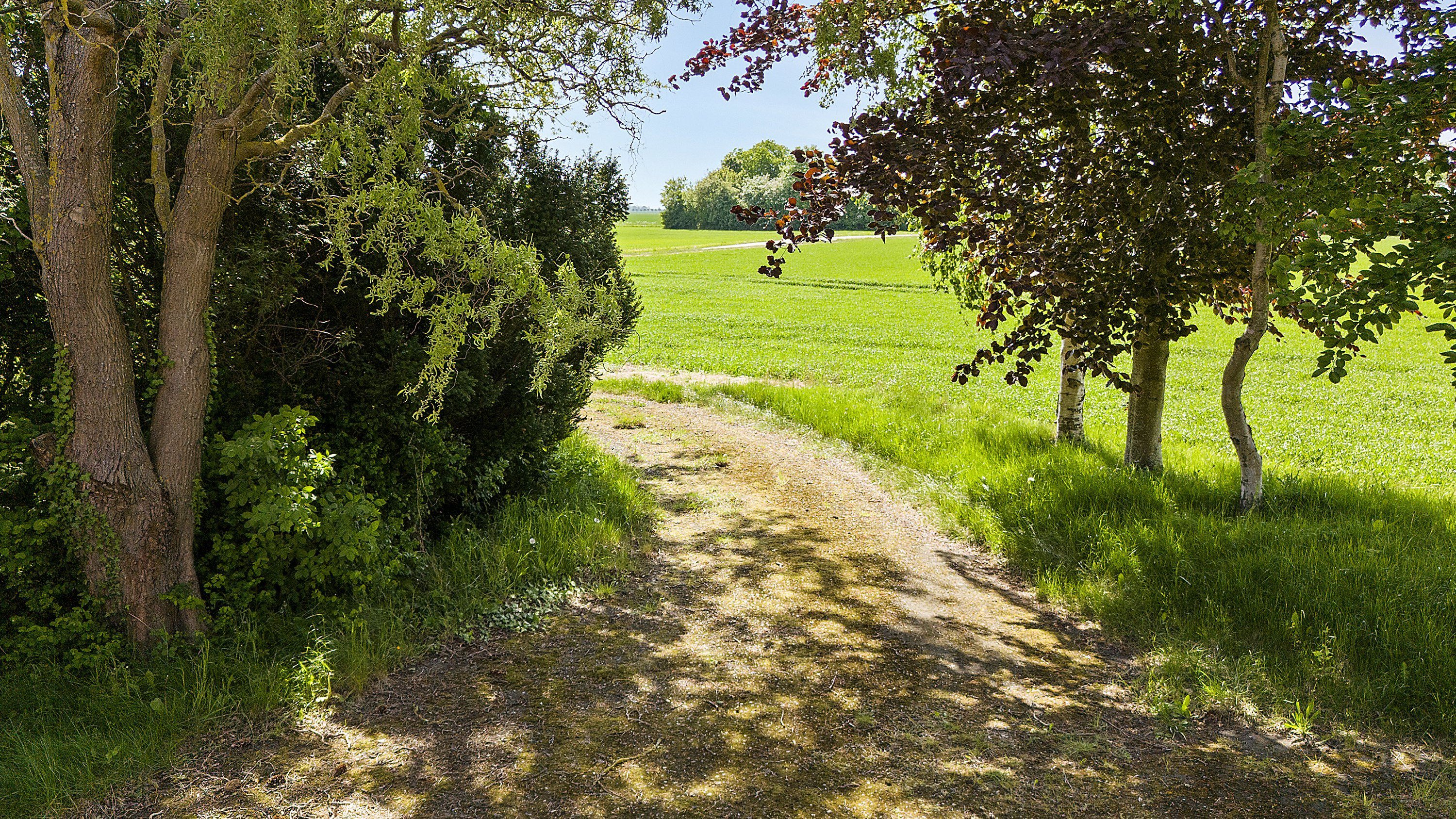 Fremhævet  billede i fuldskærmstilstand. Billede af Kuditsevej 3, 4983 Dannemare