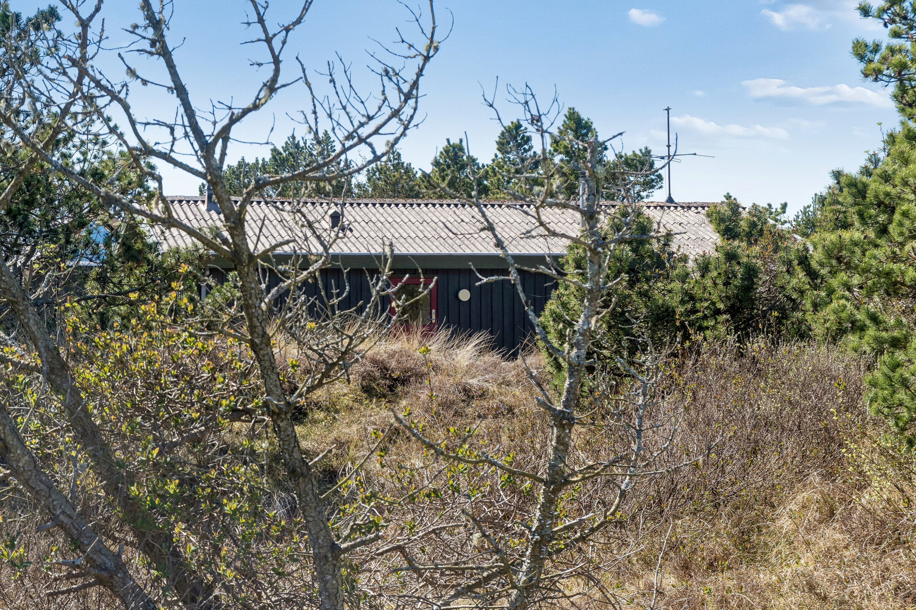 Fremhævet udendørs billede i fuldskærmstilstand. Billede af Sletningen 1, Klitmøller, 7700 Thisted