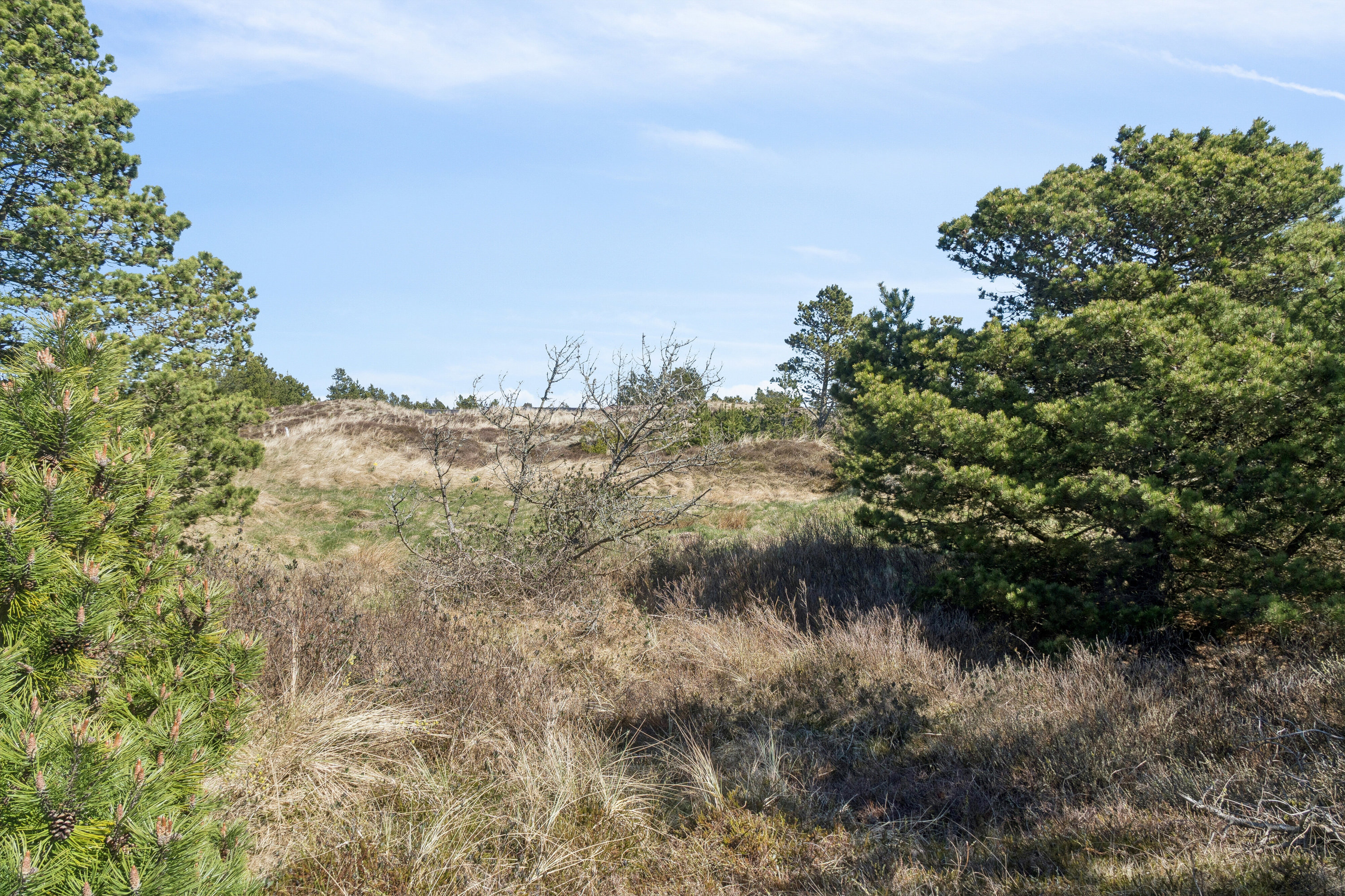 Fremhævet udendørs billede i fuldskærmstilstand. Billede af Sletningen 1, Klitmøller, 7700 Thisted