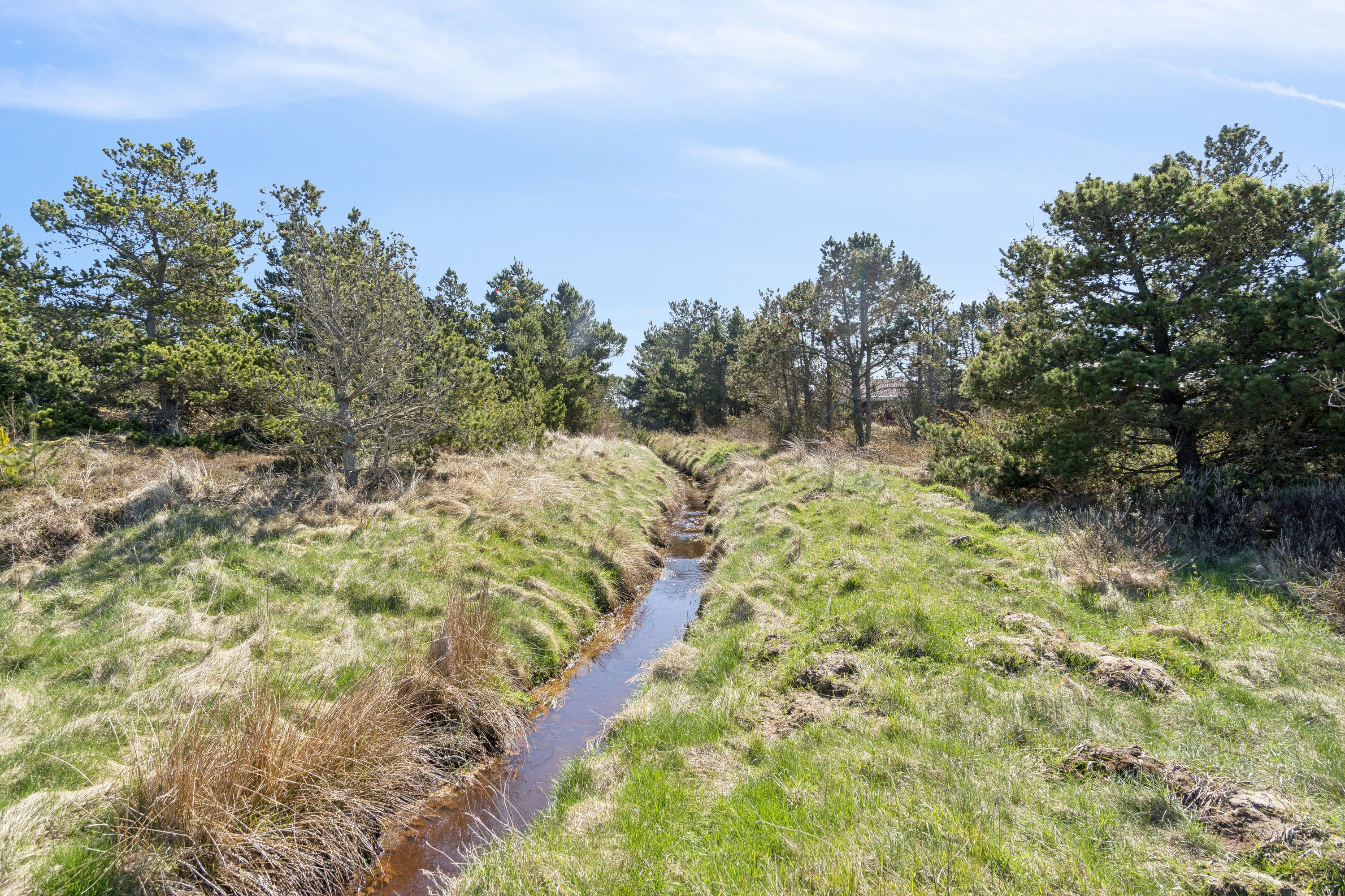Fremhævet udendørs billede i fuldskærmstilstand. Billede af Sletningen 1, Klitmøller, 7700 Thisted