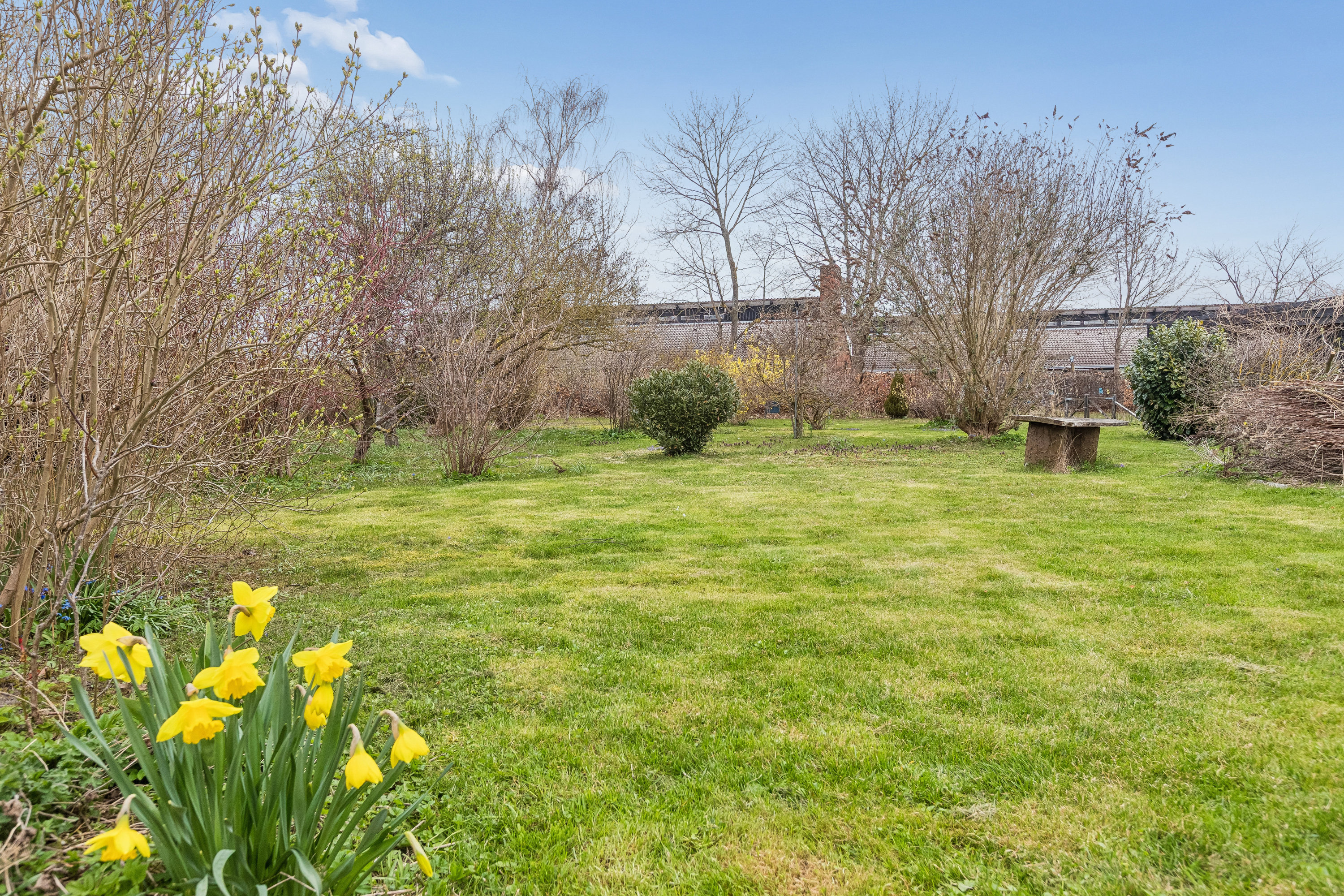 Fremhævet have billede i fuldskærmstilstand. Billede af Dernavej 4, 2770 Kastrup