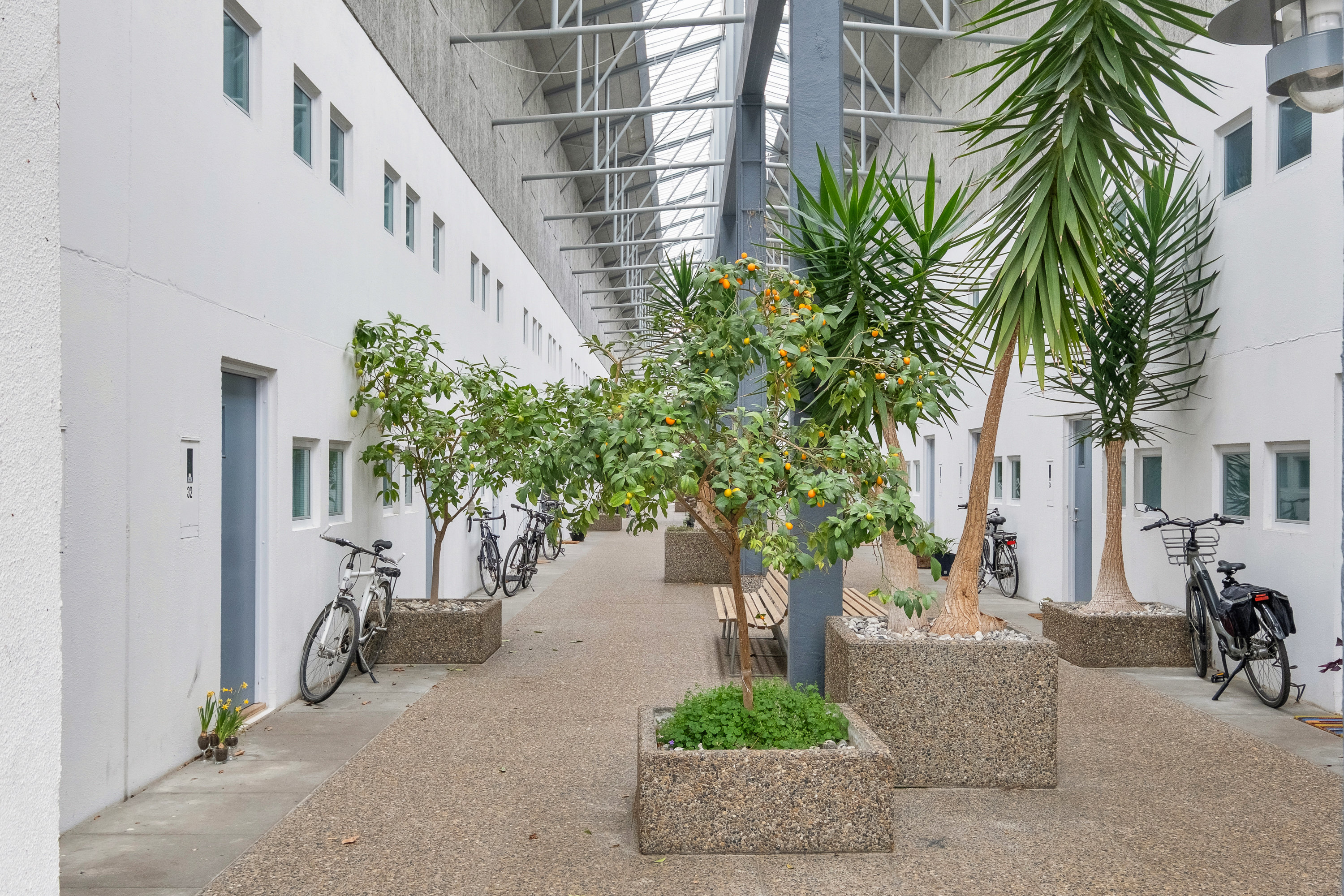 Fremhævet gårdmiljø billede i fuldskærmstilstand. Billede af Vestre Havevej 42, 8520 Lystrup