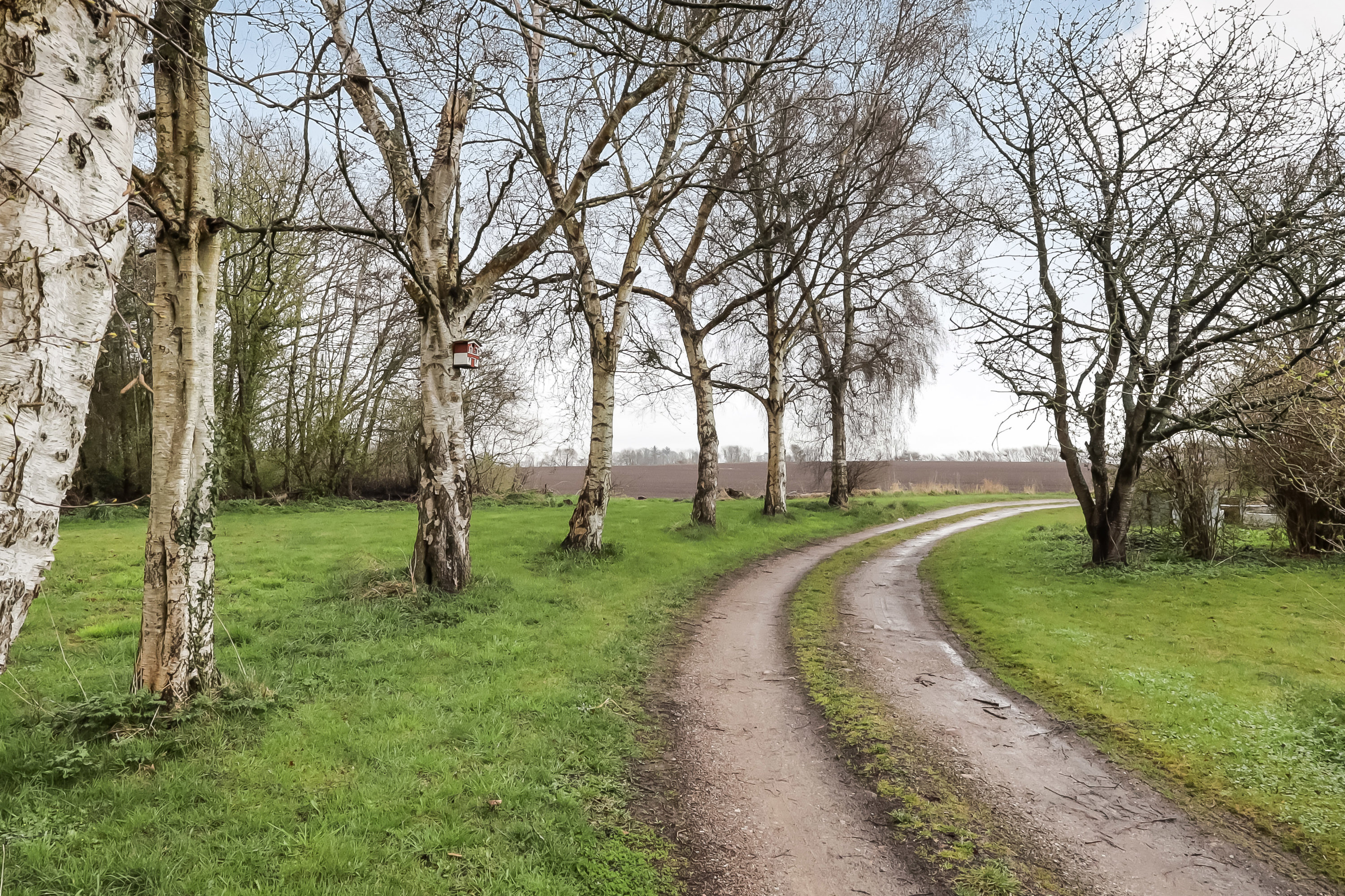 Fremhævet område billede i fuldskærmstilstand. Billede af Højensvej 200, Egense, 5700 Svendborg
