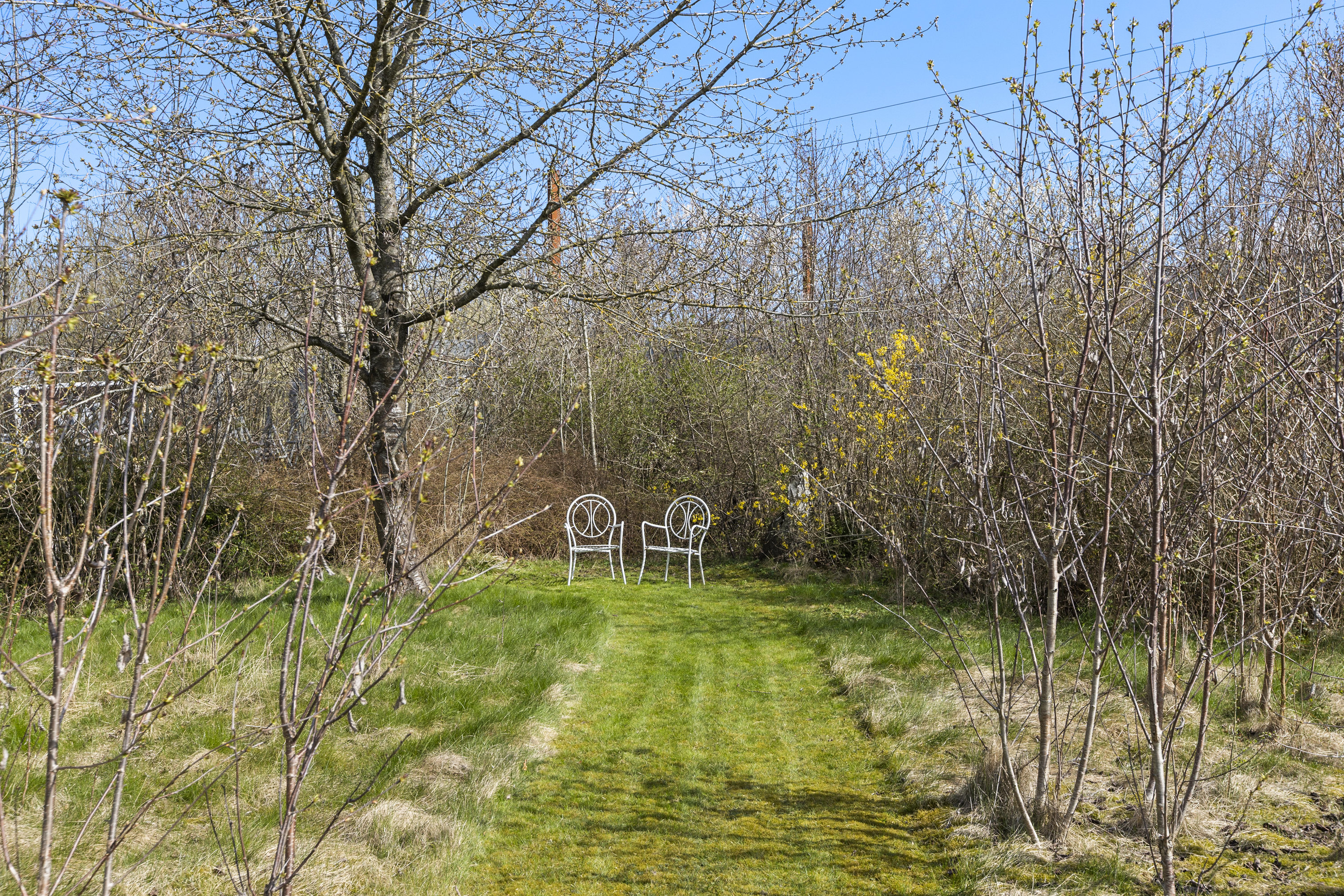 Fremhævet have billede i fuldskærmstilstand. Billede af Nøddevej 8, 4171 Glumsø