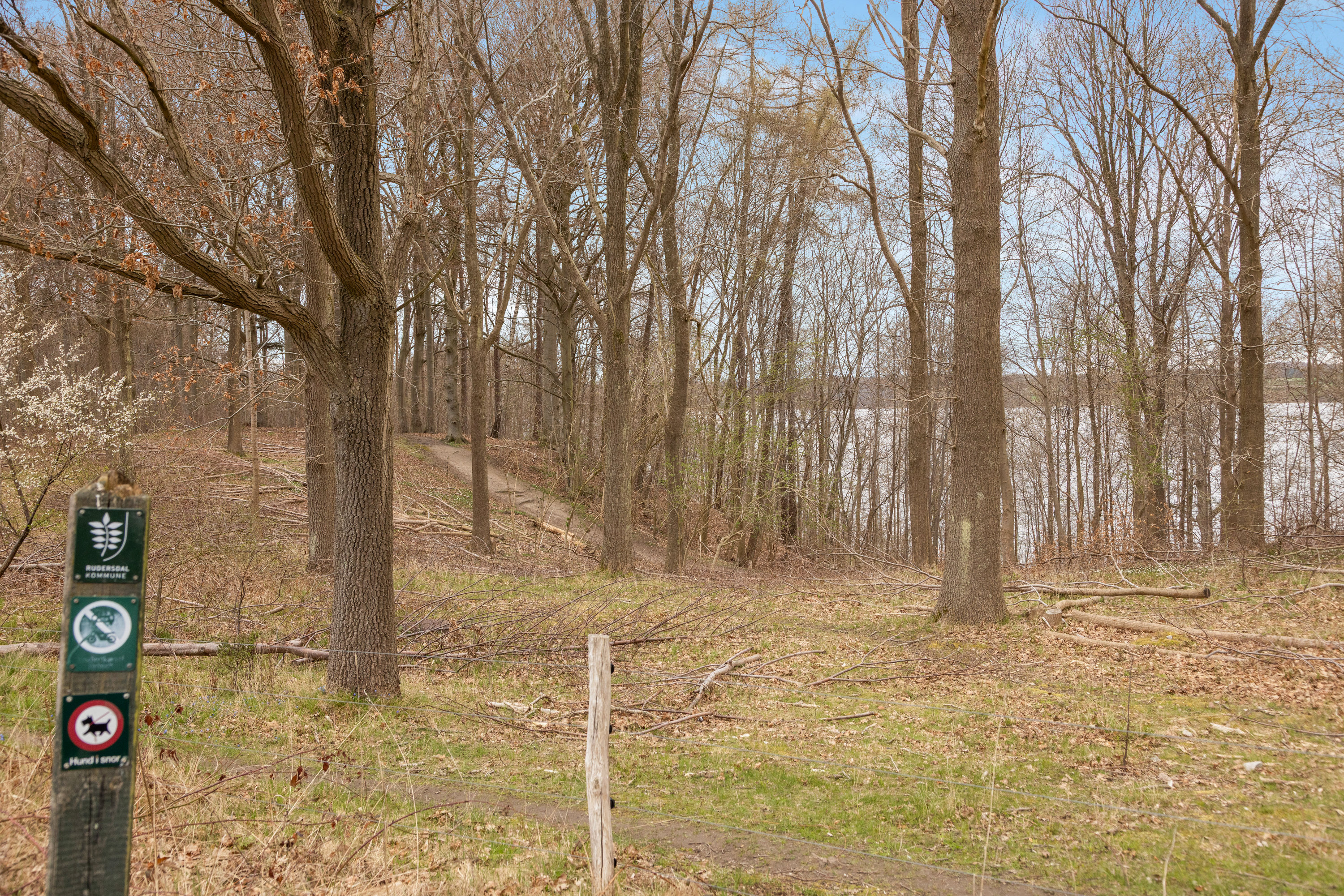 Fremhævet have billede i fuldskærmstilstand. Billede af Skovvang 24, 3460 Birkerød