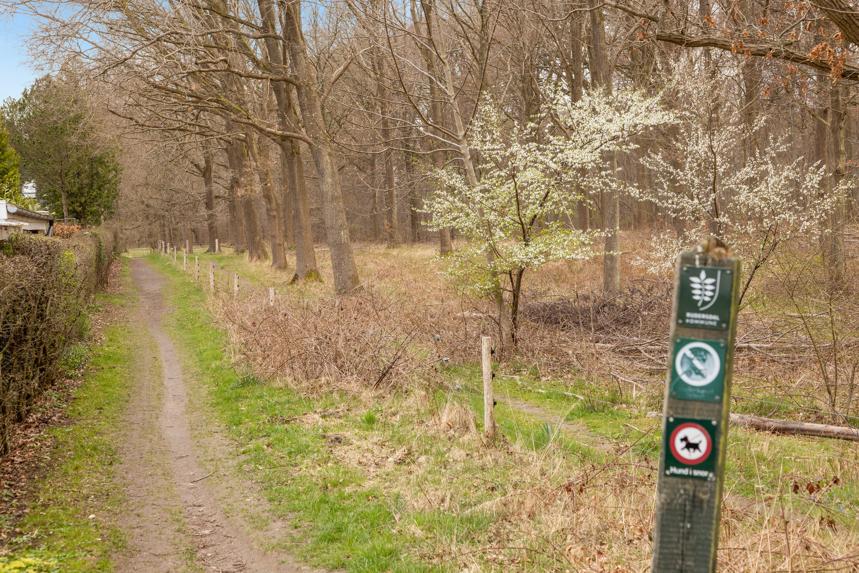 Fremhævet udsigt billede i fuldskærmstilstand. Billede af Skovvang 24, 3460 Birkerød