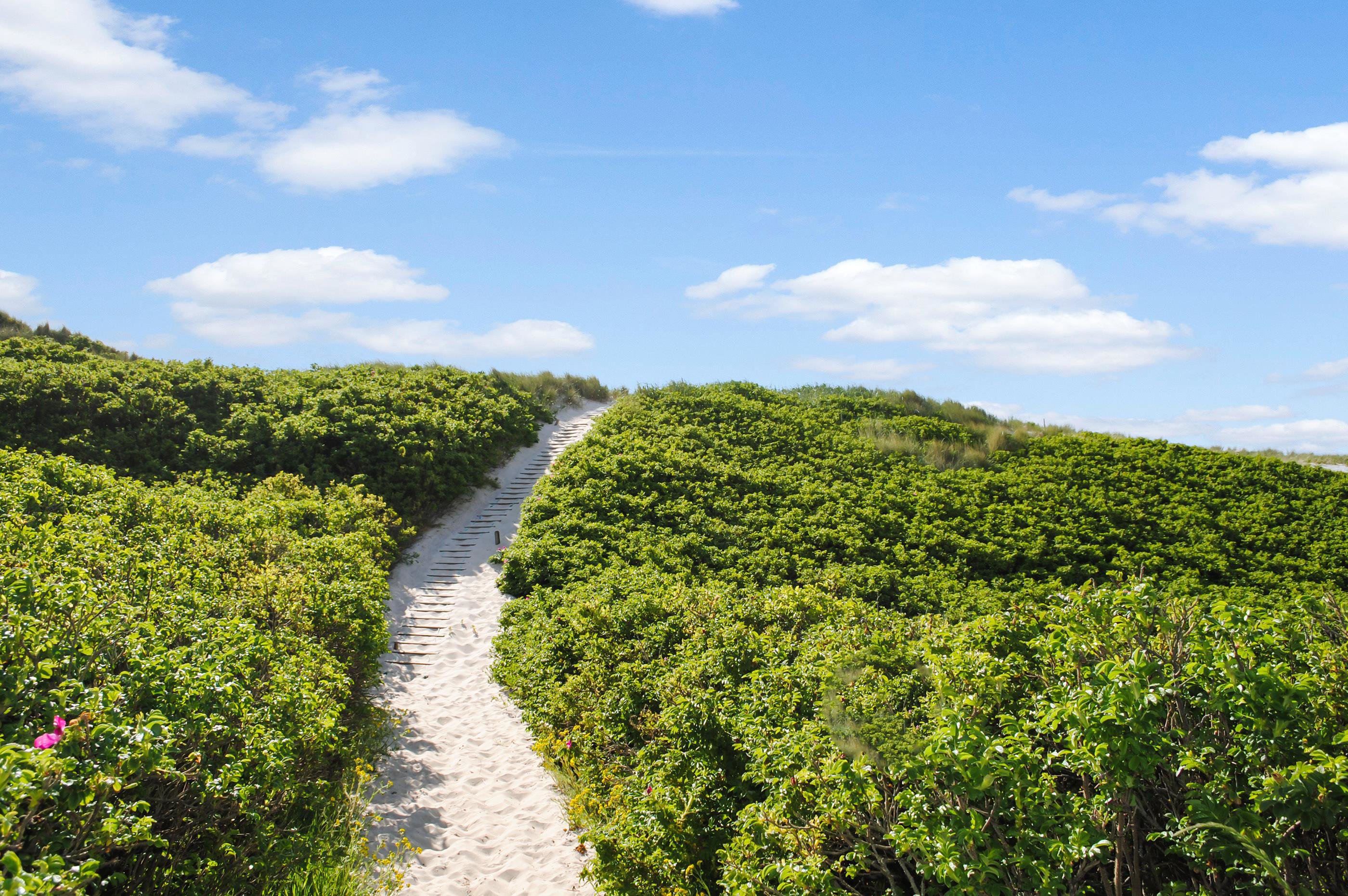 Fremhævet  billede i fuldskærmstilstand. Billede af Granvej 22, Aargab, 6960 Hvide Sande