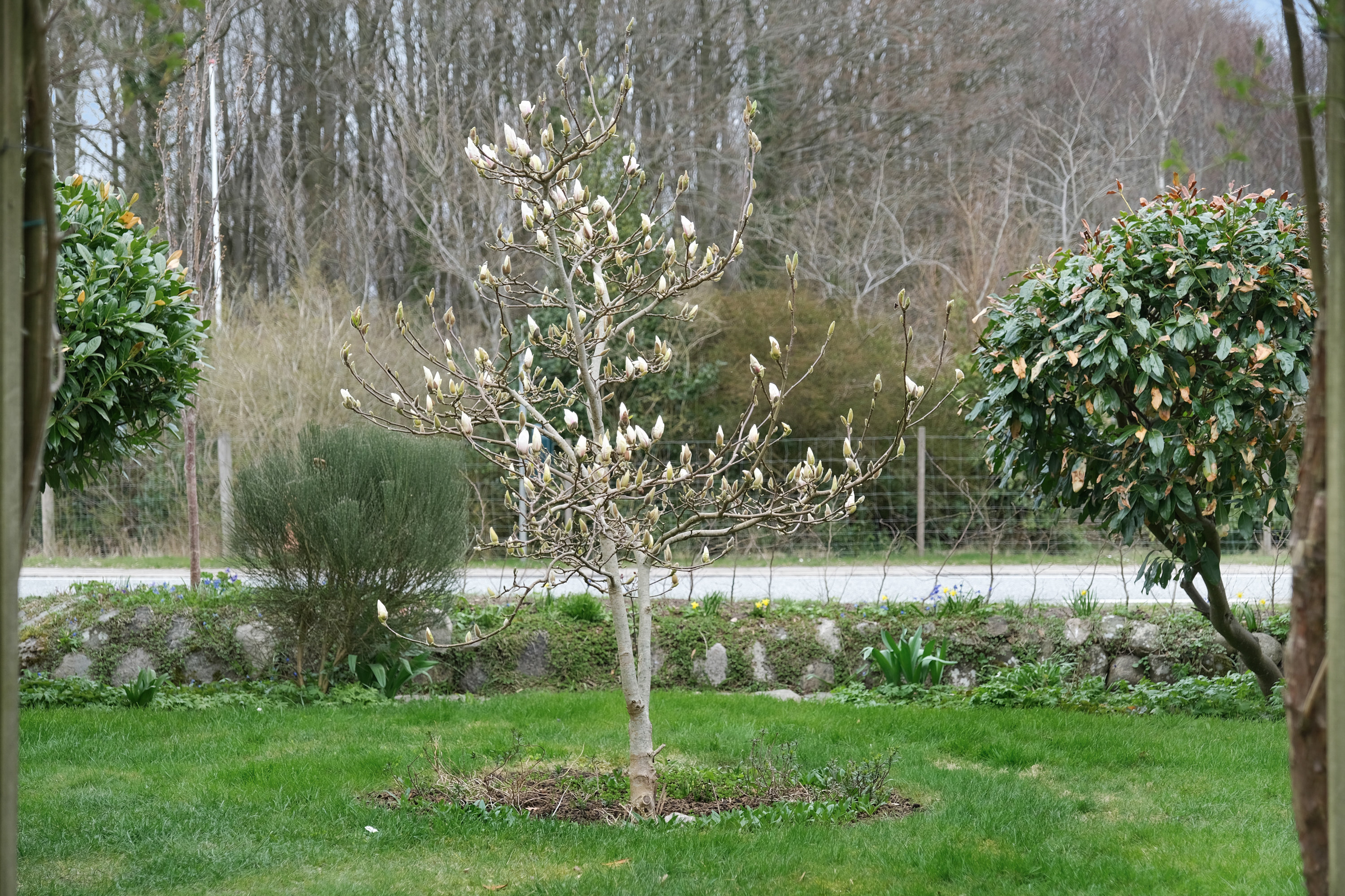 Fremhævet have billede i fuldskærmstilstand. Billede af Nørregade 89, 5620 Glamsbjerg