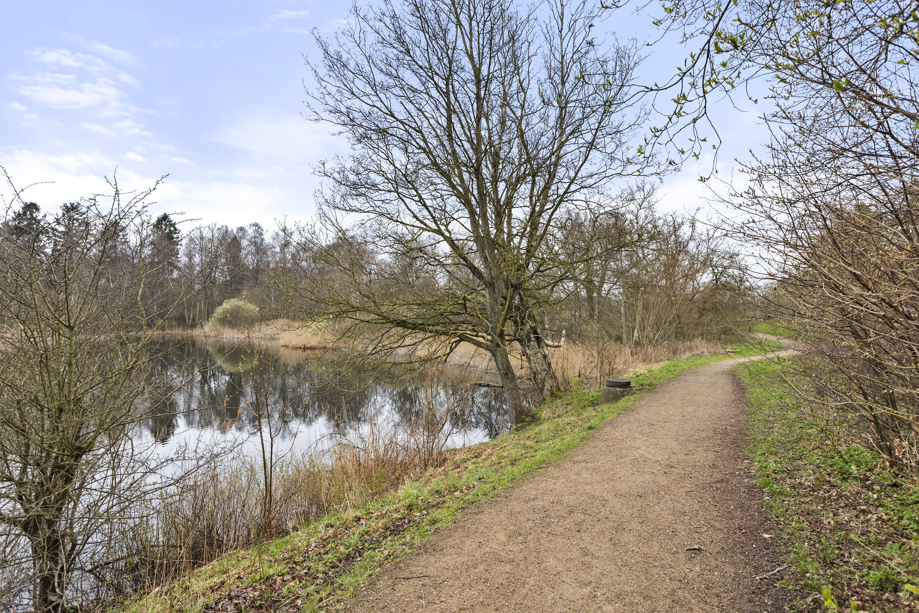 Fremhævet område billede i fuldskærmstilstand. Billede af Skuldelevvej 25B, 4050 Skibby