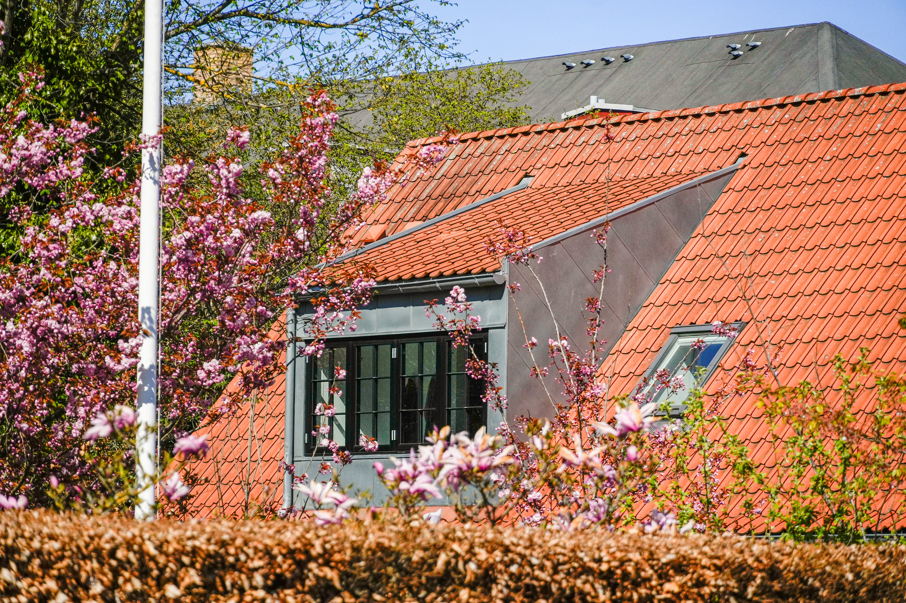 Fremhævet facade billede i fuldskærmstilstand. Billede af Fru Gyllembourgs Vej 4B, 2000 Frederiksberg