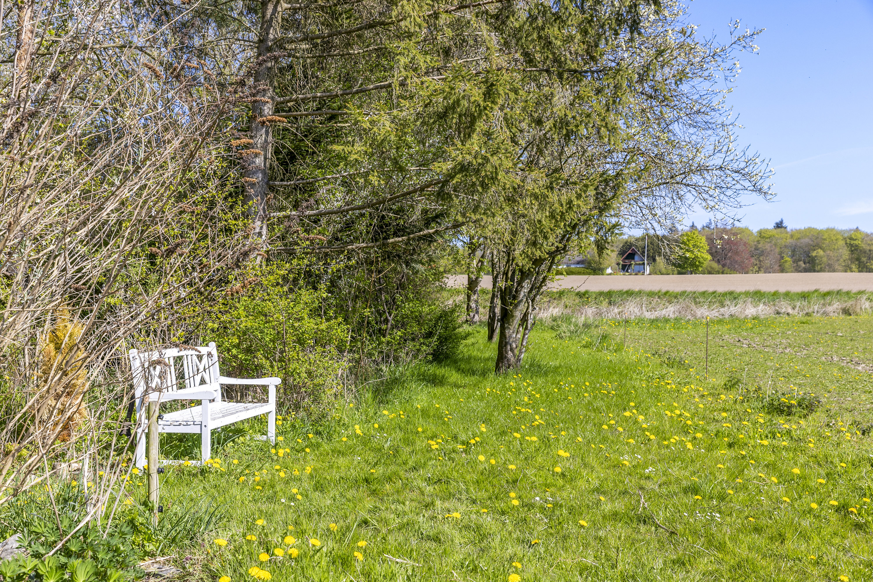 Fremhævet grund billede i fuldskærmstilstand. Billede af Søtoftevej 37, Søtofte, 4100 Ringsted