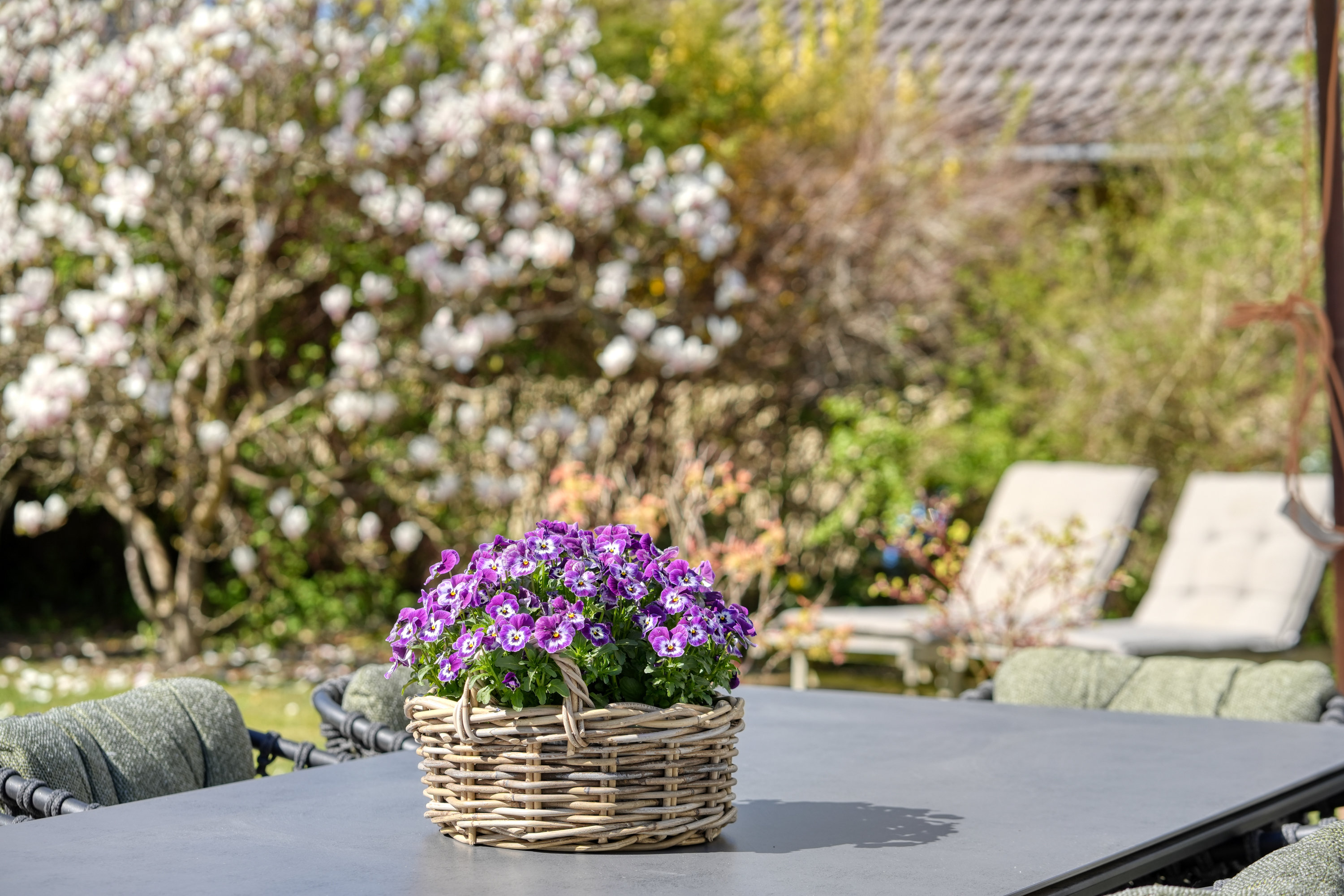 Fremhævet terrasse billede i fuldskærmstilstand. Billede af Digterparken 10B, 2750 Ballerup