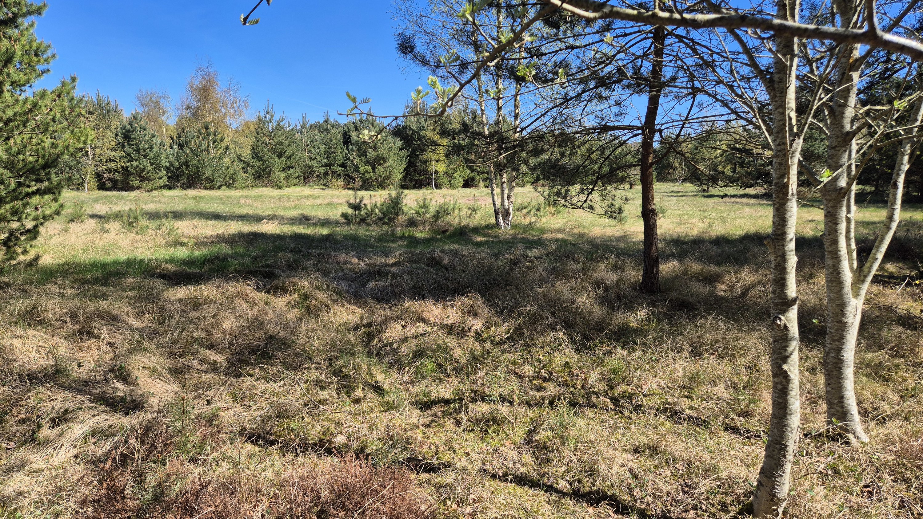 Fritidsgrund på Skovfyrvej 8, Vesterø, 9940 Læsø