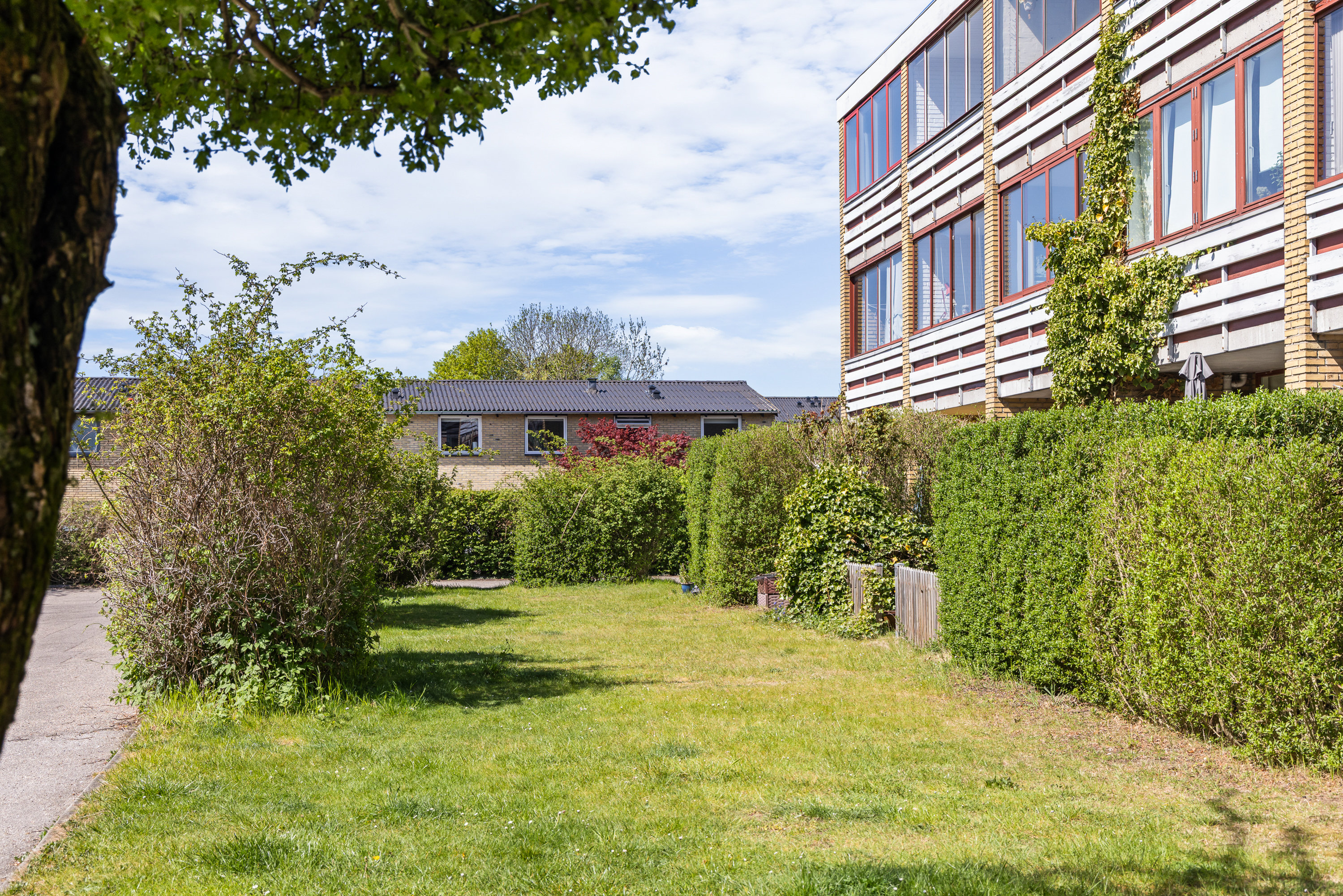 Fremhævet gårdmiljø billede i fuldskærmstilstand. Billede af Buddingevej 180, 1. 106., 2860 Søborg