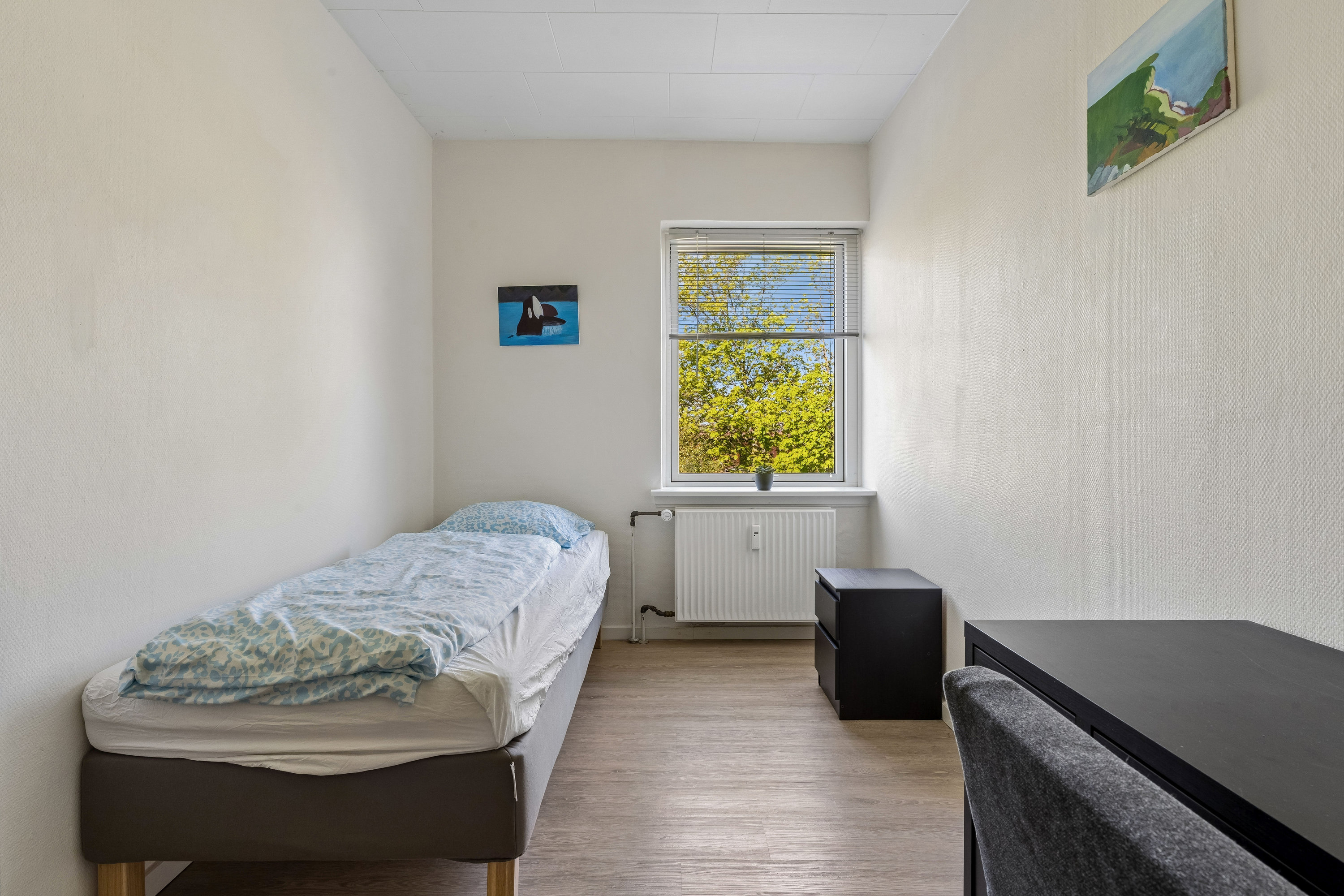 Fremhævet værelse billede i fuldskærmstilstand. Billede af Hadsundvej 86C, 2. th., 9000 Aalborg