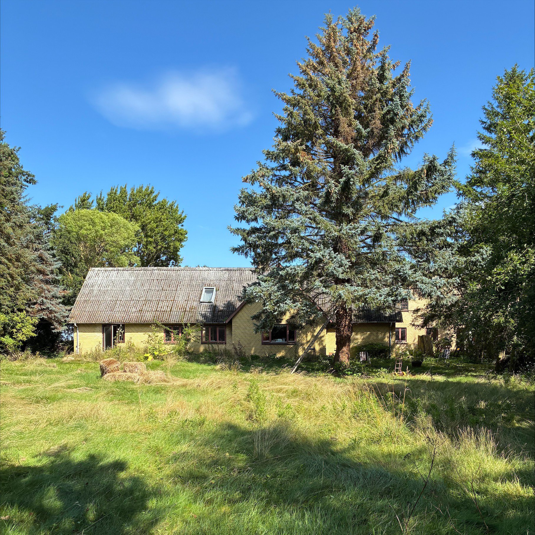 Fremhævet  billede i fuldskærmstilstand. Billede af Kuditsevej 3, 4983 Dannemare