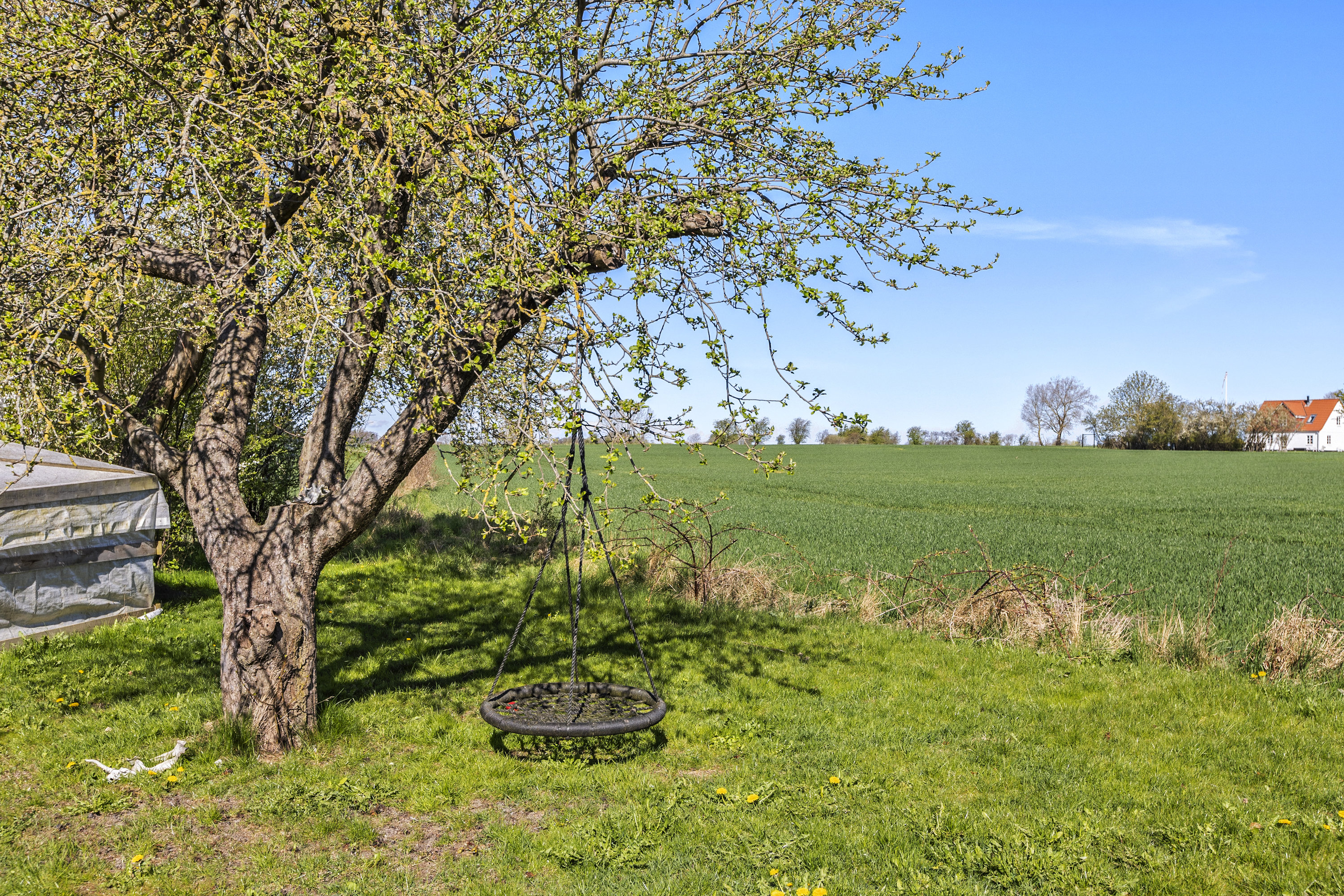 Fremhævet have billede i fuldskærmstilstand. Billede af Haslevvej 250, 4100 Ringsted