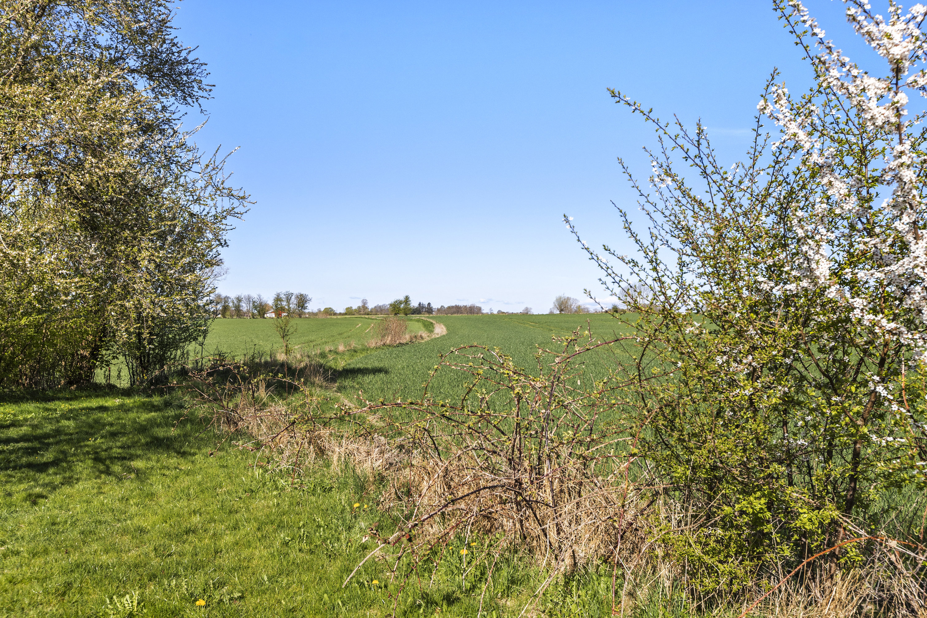 Miniaturebillede 1: udsigt. Billede af Haslevvej 250, 4100 Ringsted