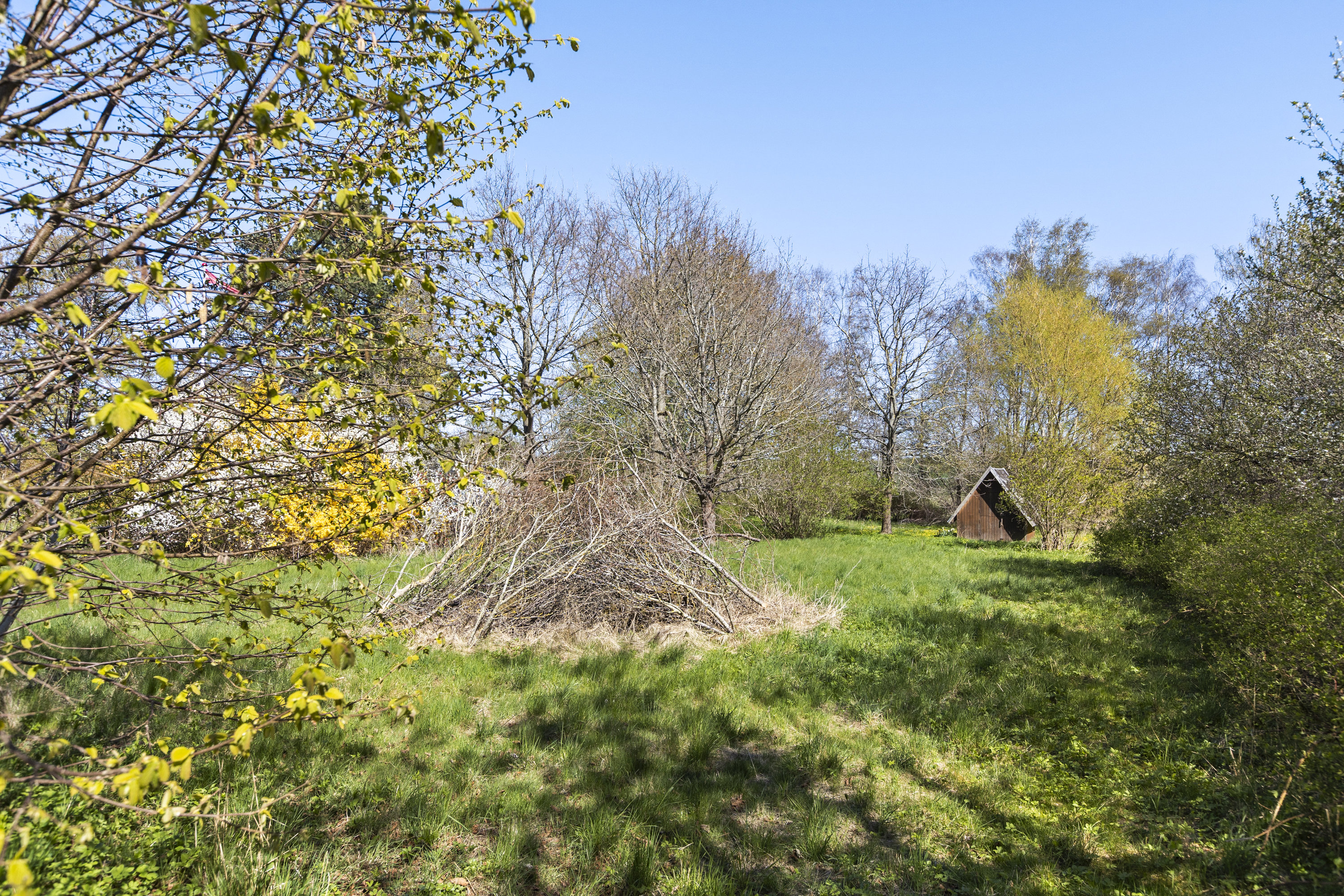 Fremhævet have billede i fuldskærmstilstand. Billede af Bogfinkevej 2, Sønderby, 4050 Skibby