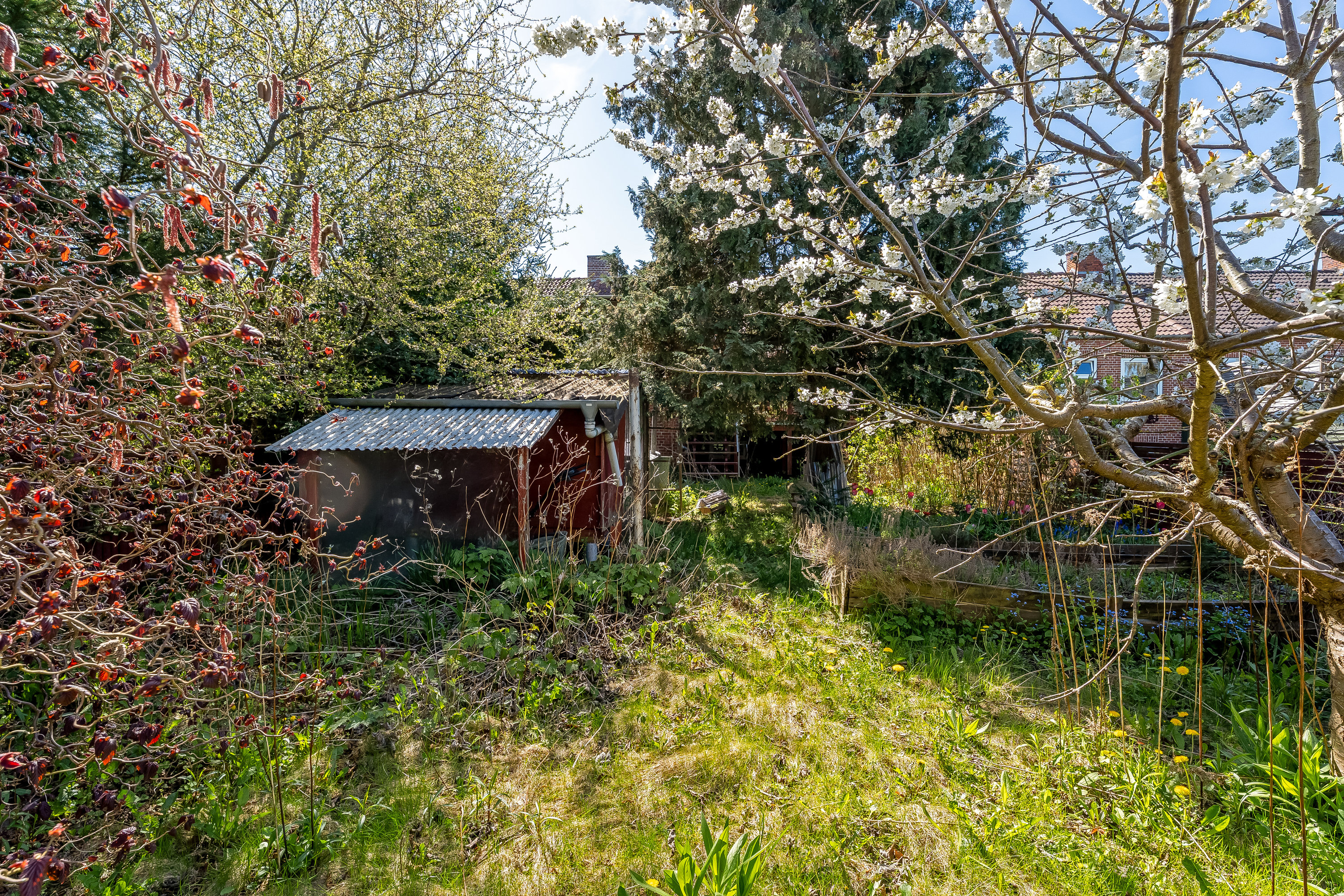 Fremhævet have billede i fuldskærmstilstand. Billede af Rolfsvej 15, 4900 Nakskov