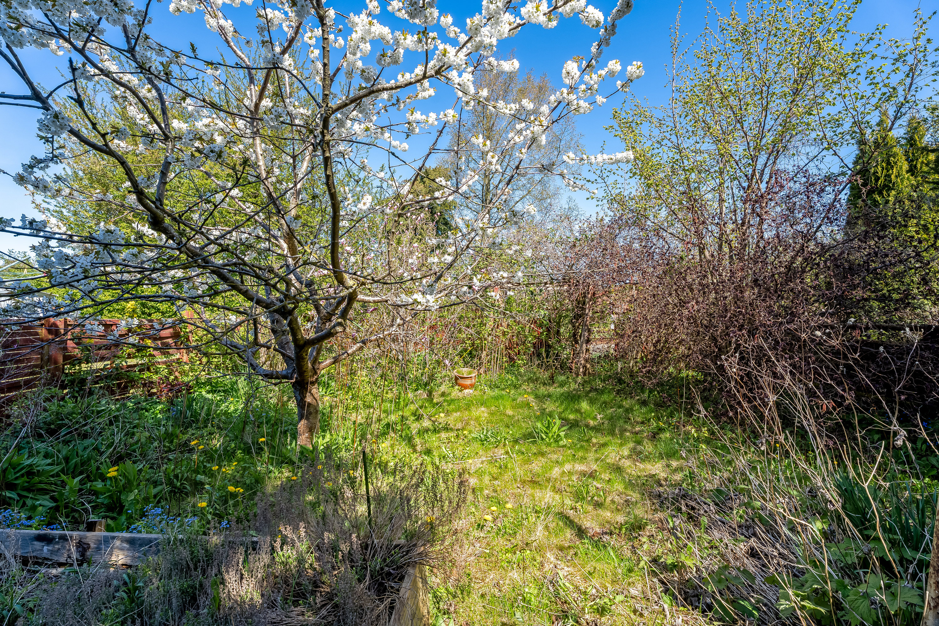 Fremhævet have billede i fuldskærmstilstand. Billede af Rolfsvej 15, 4900 Nakskov