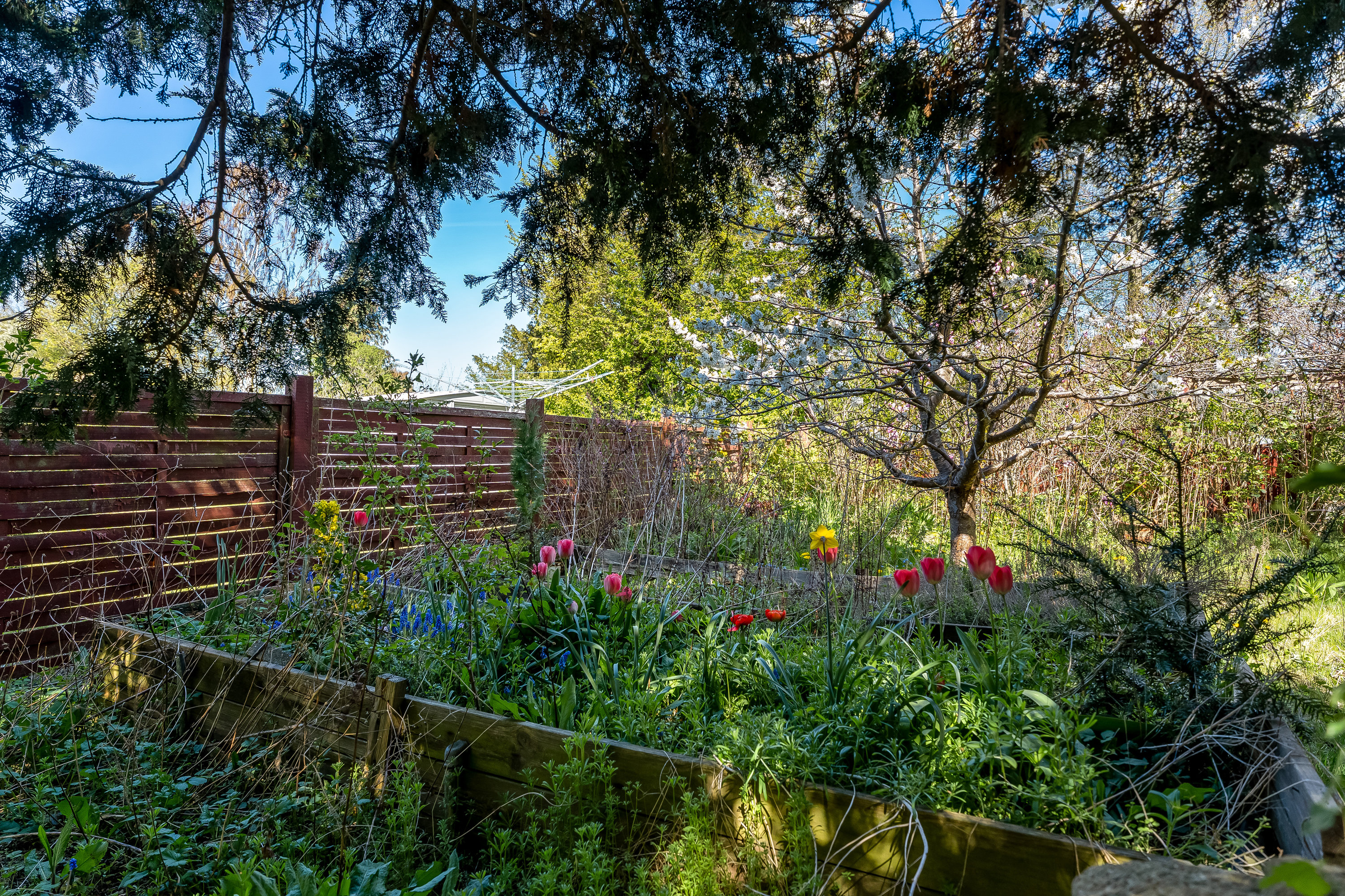 Fremhævet have billede i fuldskærmstilstand. Billede af Rolfsvej 15, 4900 Nakskov