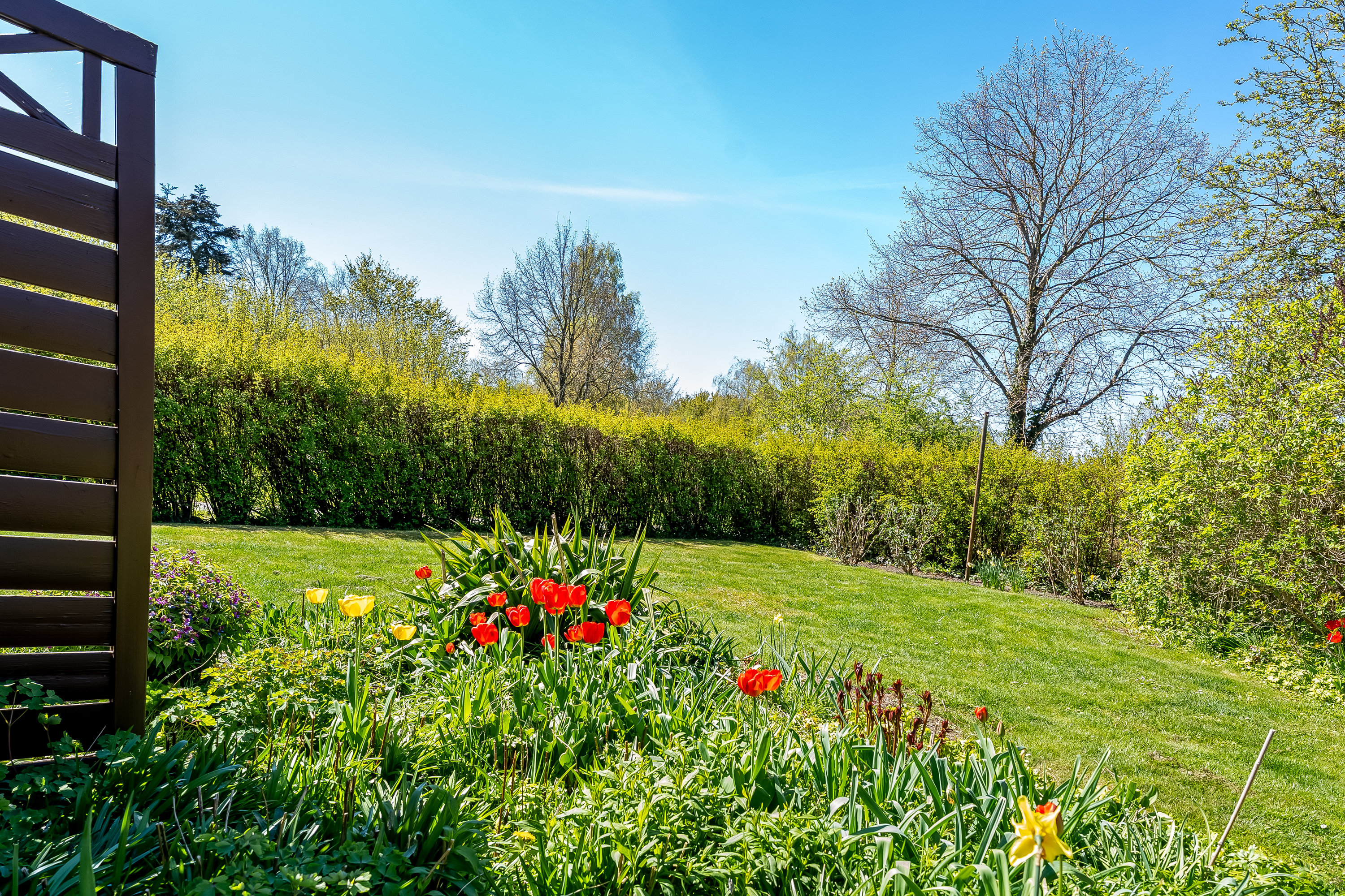 Fremhævet have billede i fuldskærmstilstand. Billede af Rosnæsvej 39, 4900 Nakskov