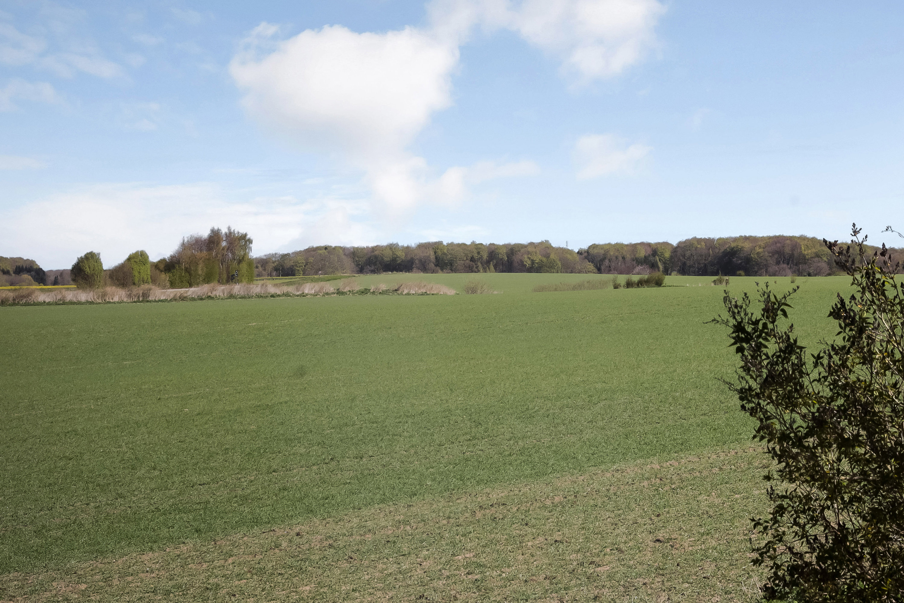 Fremhævet område billede i fuldskærmstilstand. Billede af Sognevej 44, 5771 Stenstrup