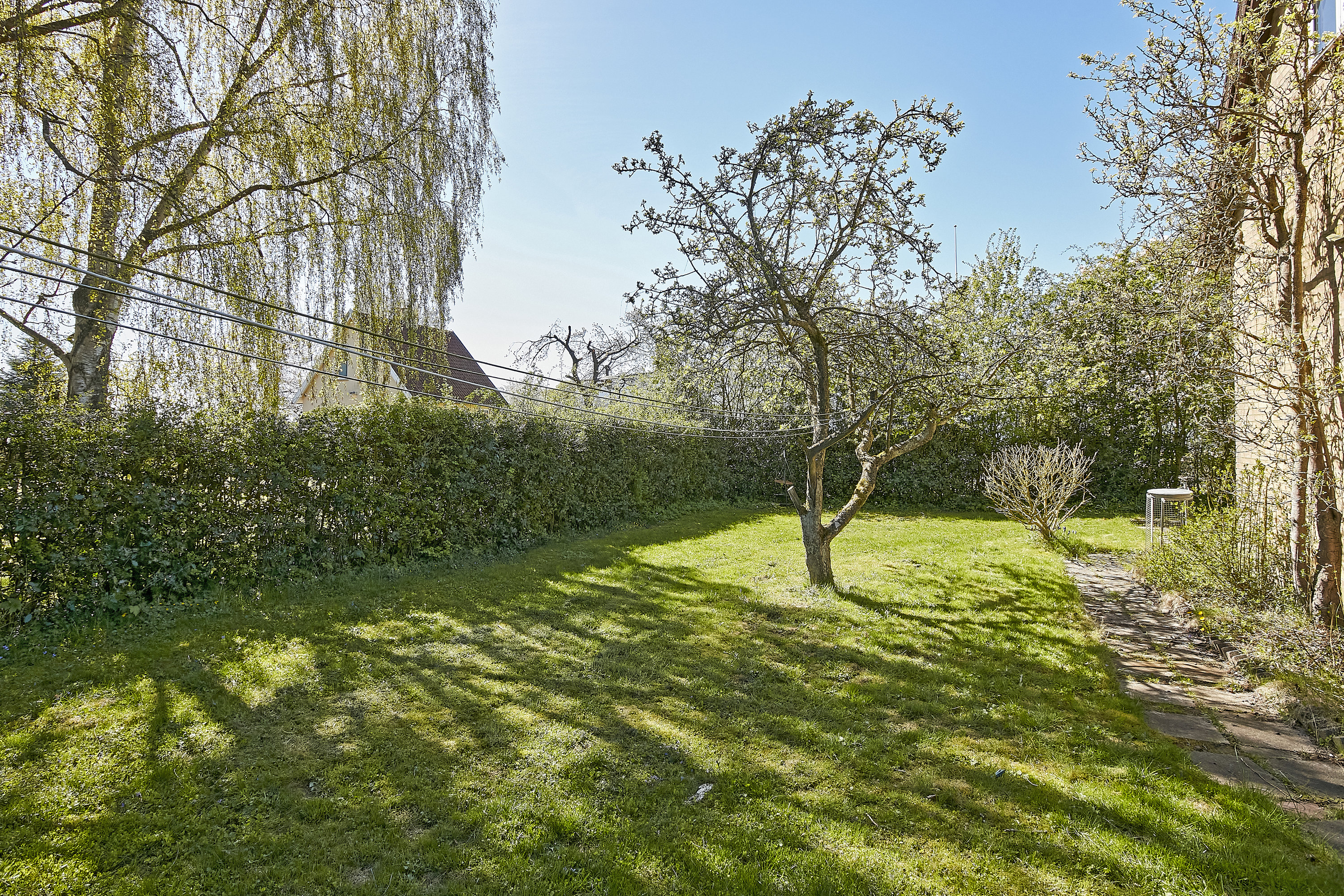 Miniaturebillede 2: have. Billede af Barrit Langgade 186, 7150 Barrit
