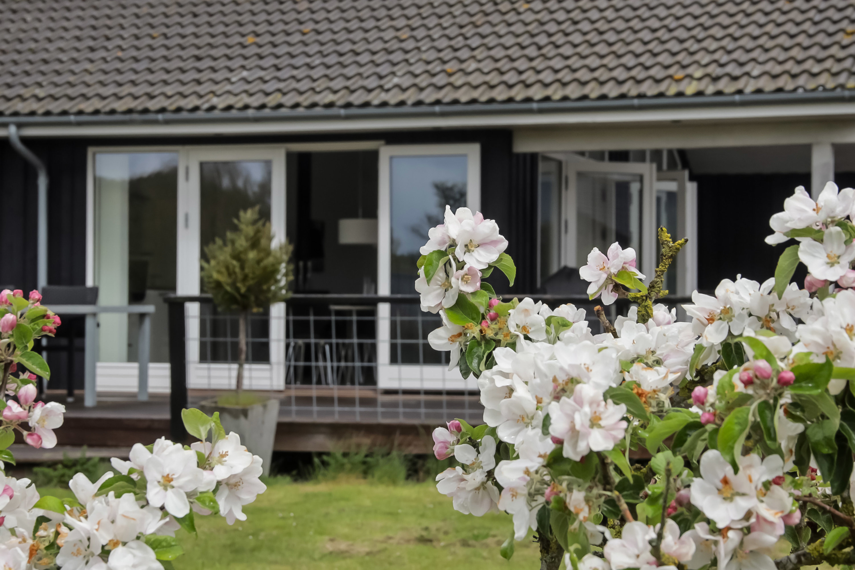 Fremhævet terrasse billede i fuldskærmstilstand. Billede af Skovridervænget 24, Spodsbjerg, 5900 Rudkøbing