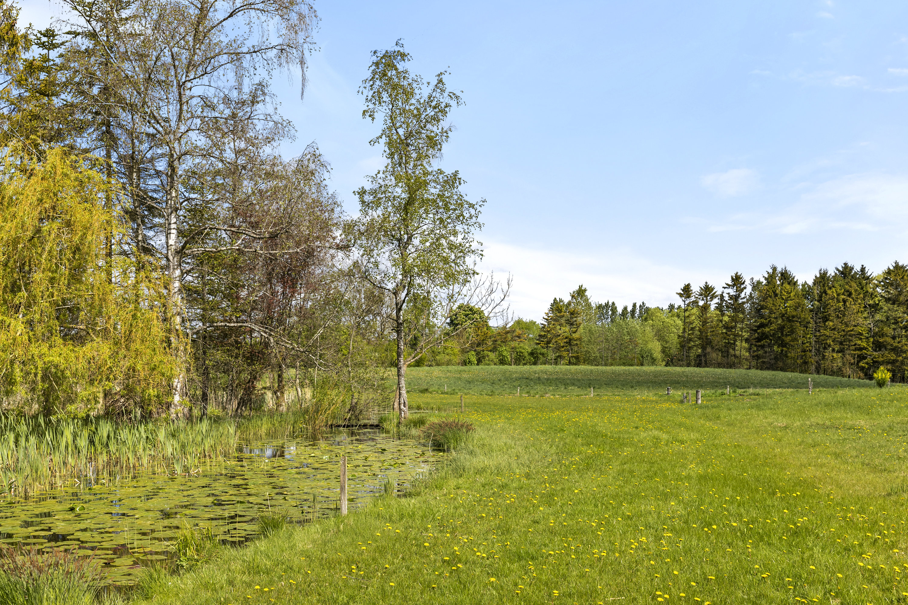 Fremhævet grund billede i fuldskærmstilstand. Billede af Langebjergvej 67, Haraldsted, 4100 Ringsted