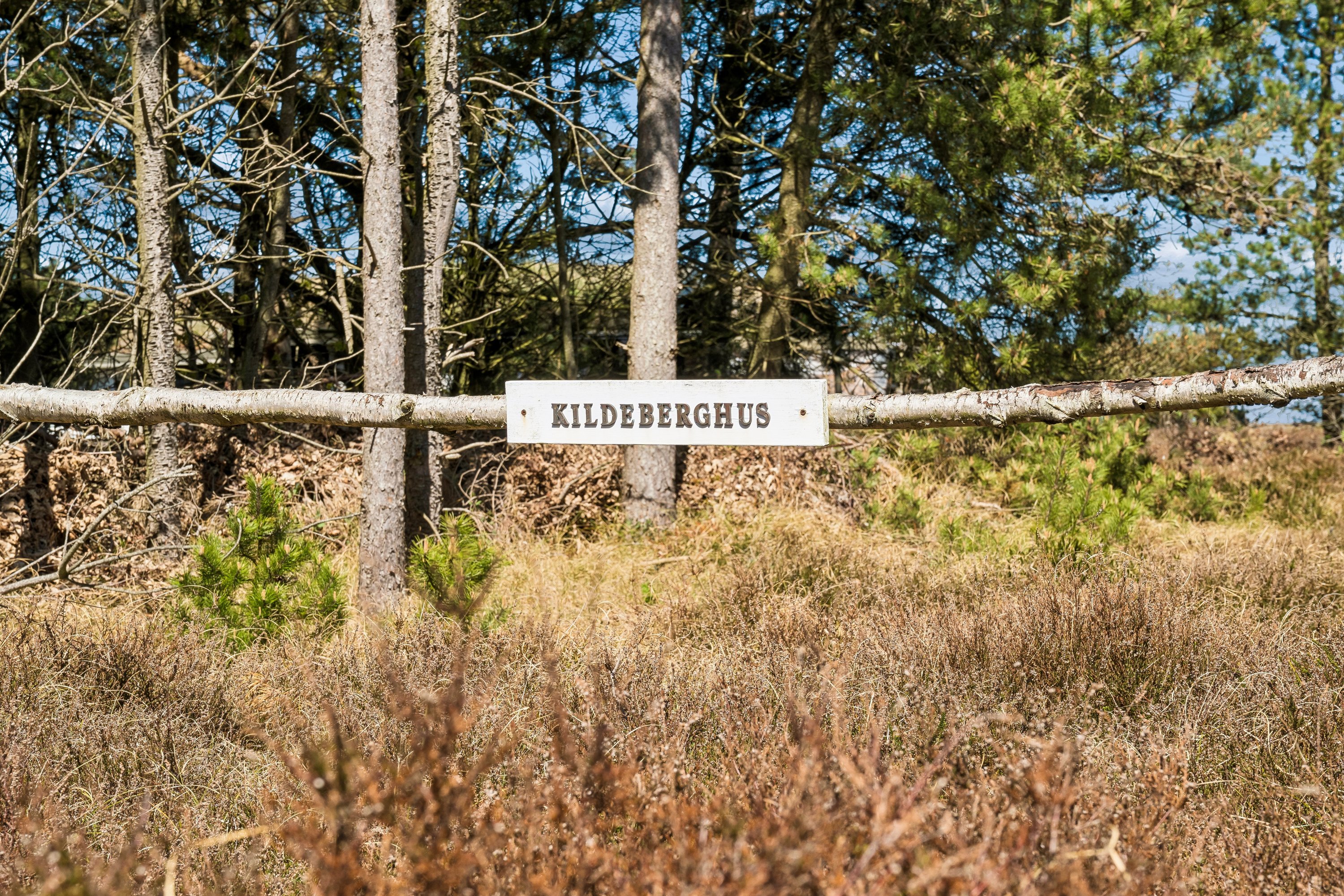 Fremhævet udsigt billede i fuldskærmstilstand. Billede af Tranevej 8, 9940 Læsø