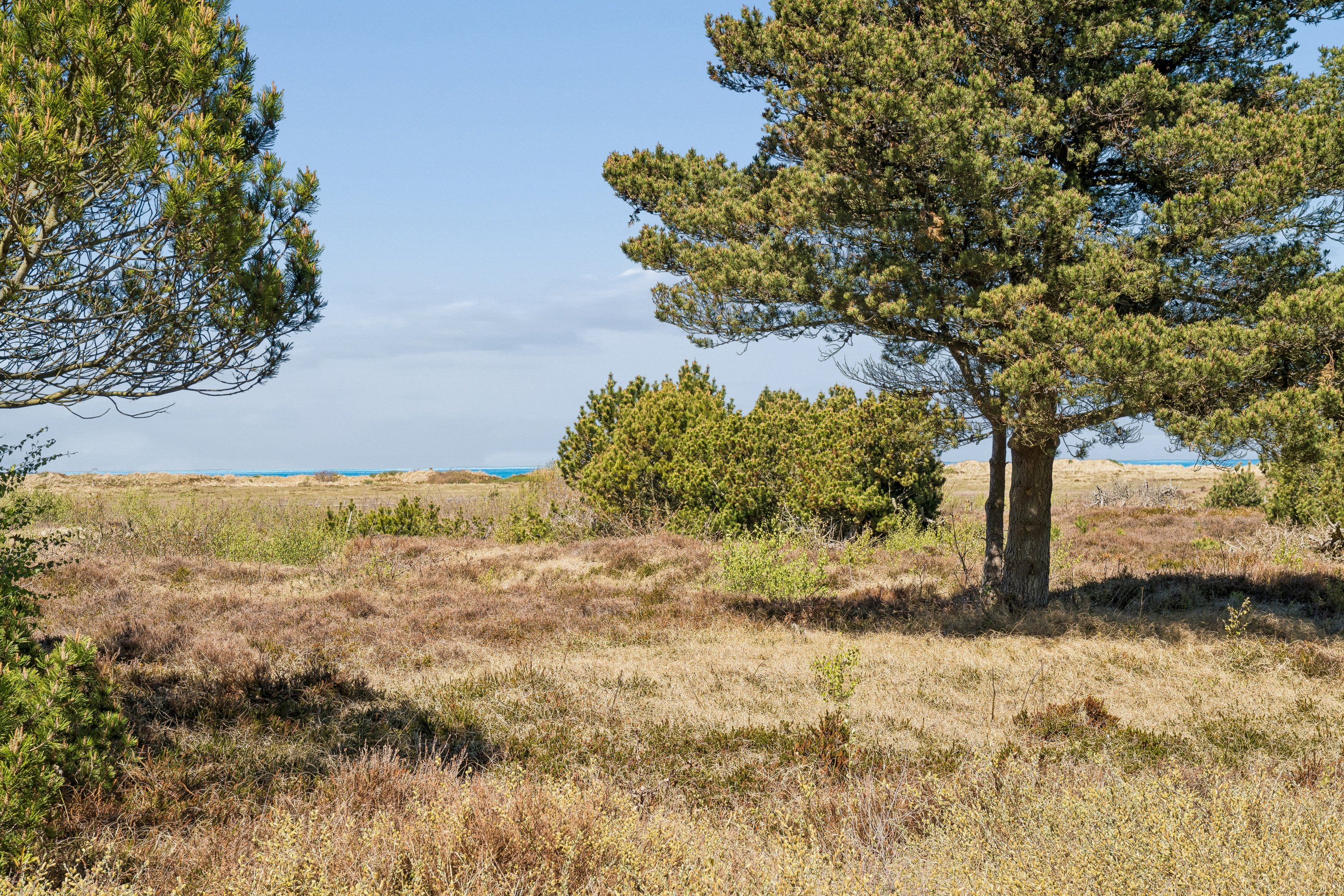 Fremhævet omgivelser billede i fuldskærmstilstand. Billede af Tranevej 8, 9940 Læsø