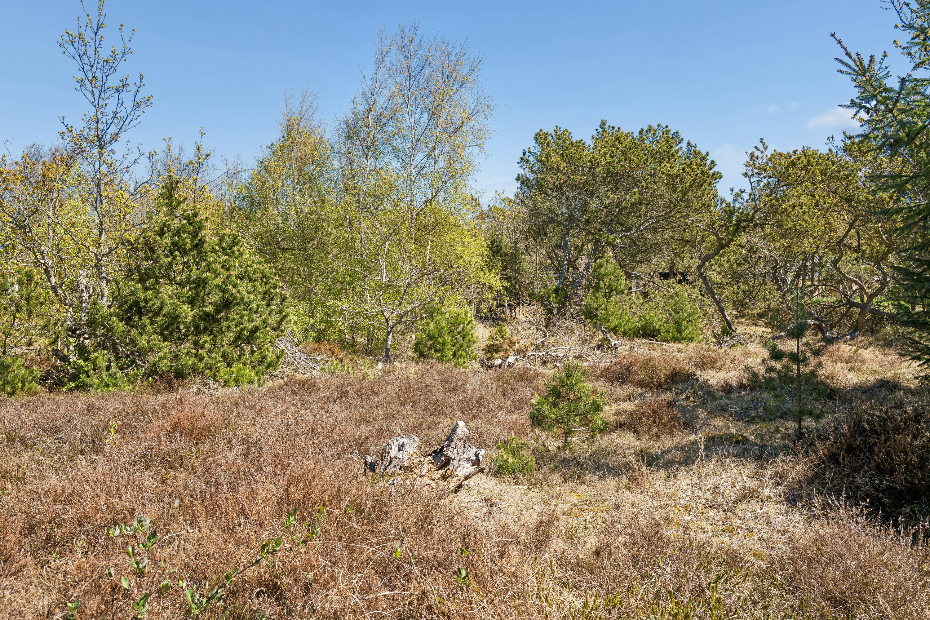 Fremhævet udsigt billede i fuldskærmstilstand. Billede af Tranevej 8, 9940 Læsø