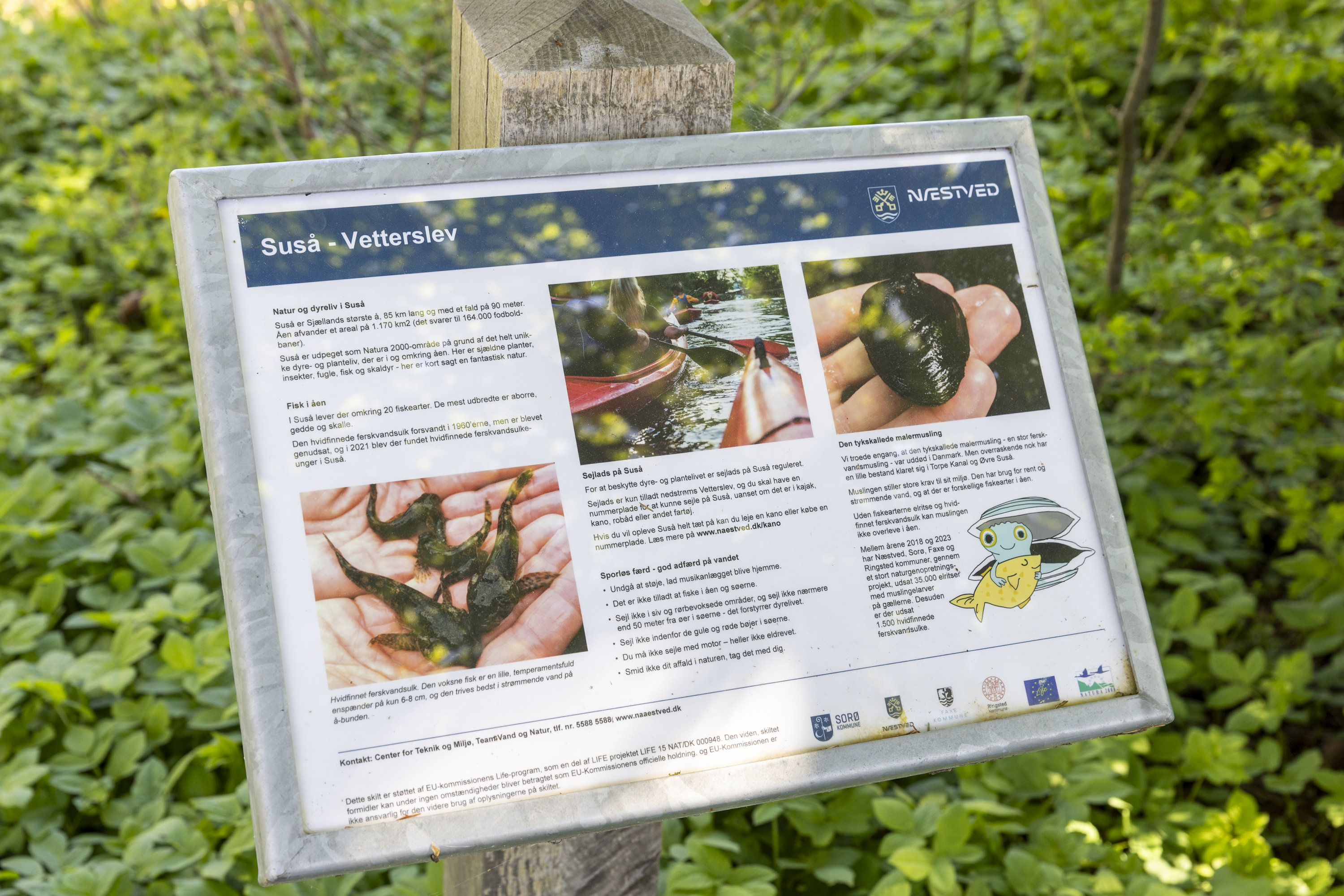 Fremhævet område billede i fuldskærmstilstand. Billede af Gammel Næstvedvej 24, Sandby, 4171 Glumsø